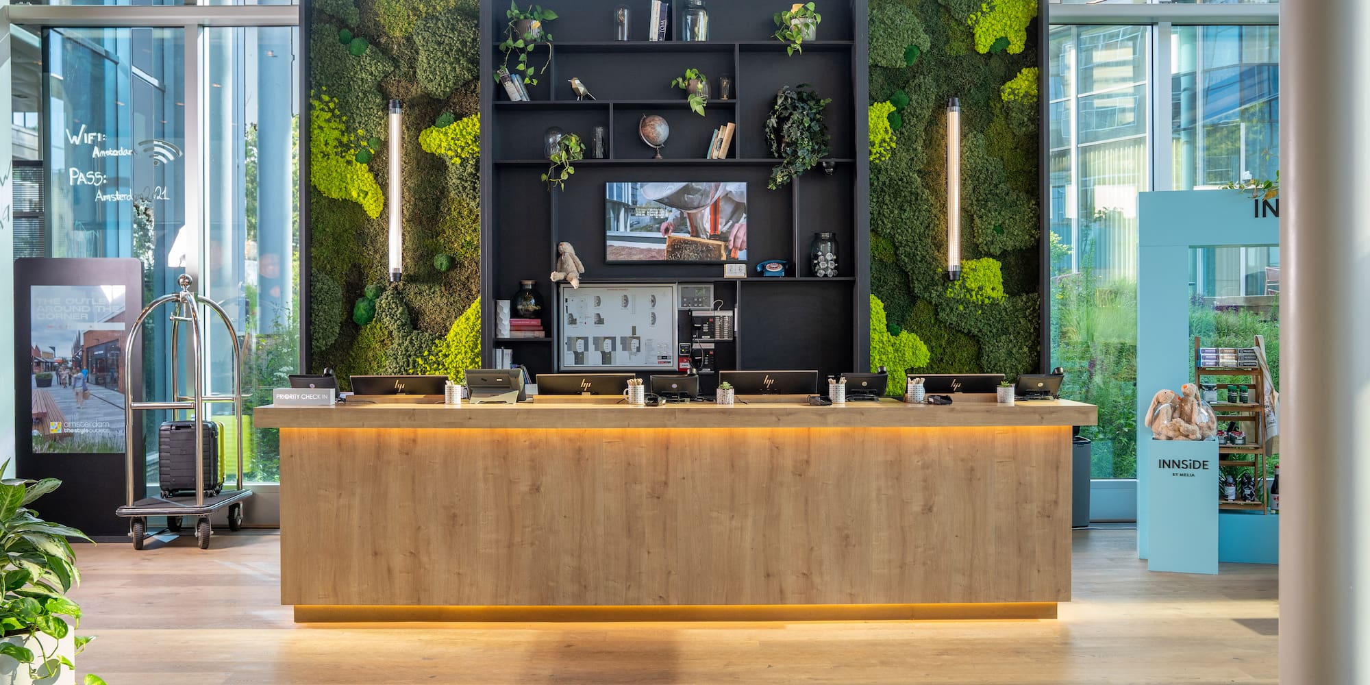 a counter with plants on the wall