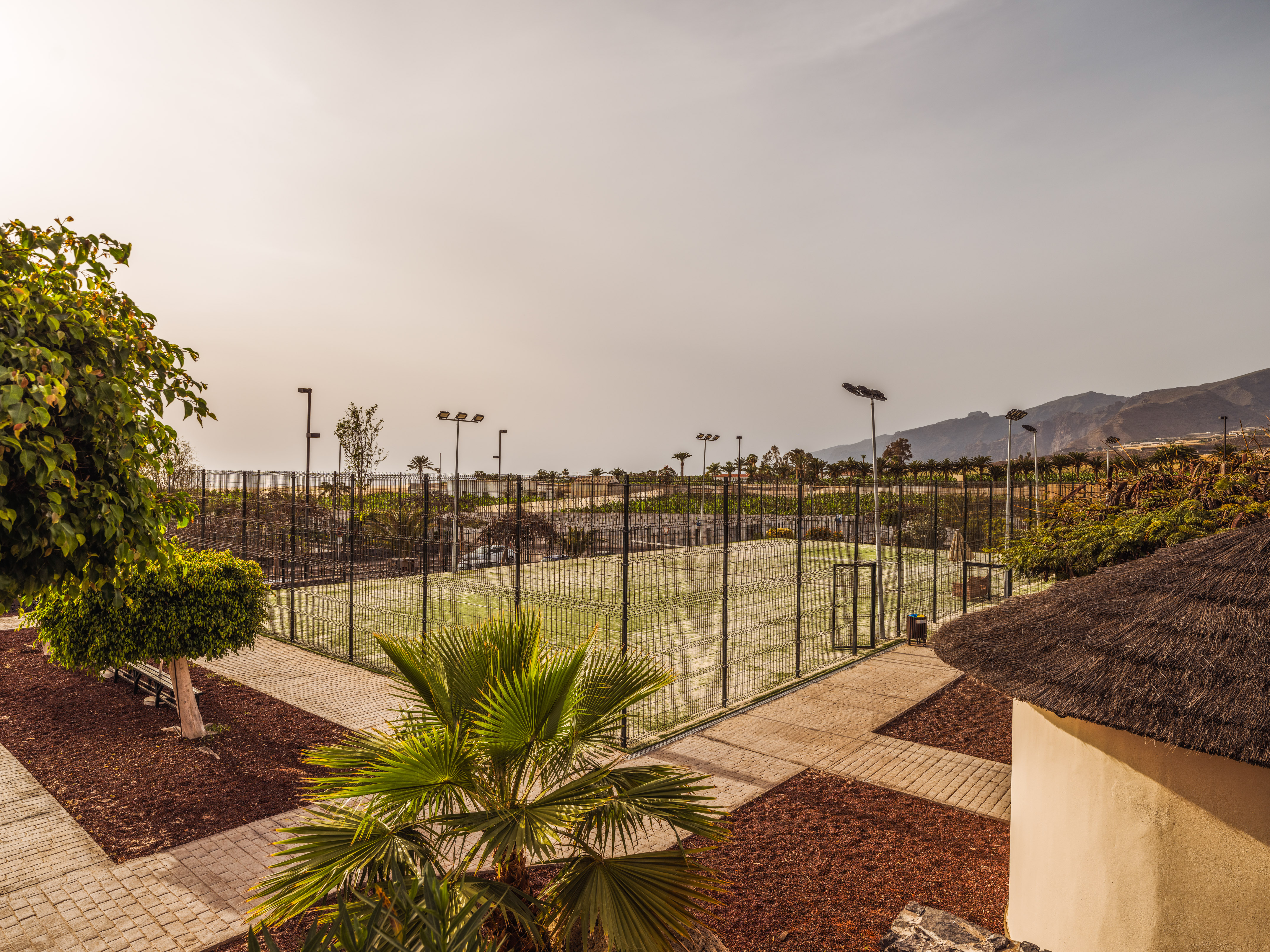 Green padel court at a resort, surrounded by palm trees and mountains.