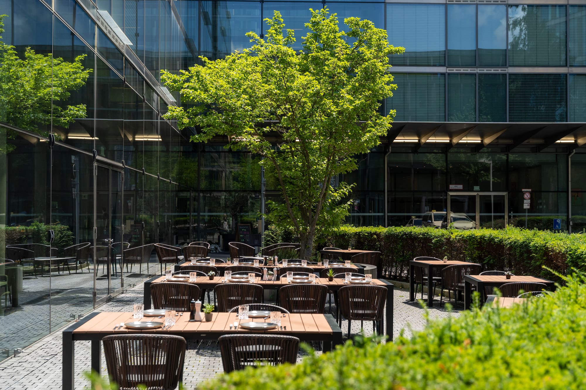 Modern outdoor restaurant patio with set tables, green tree, and glass building.