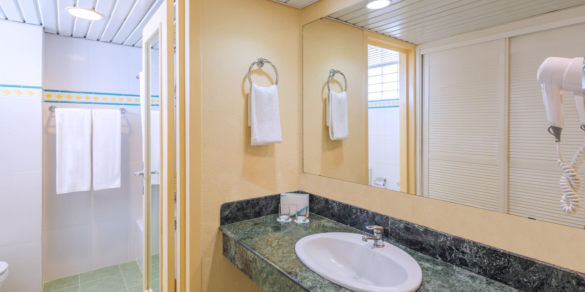 a bathroom with a sink and a shower