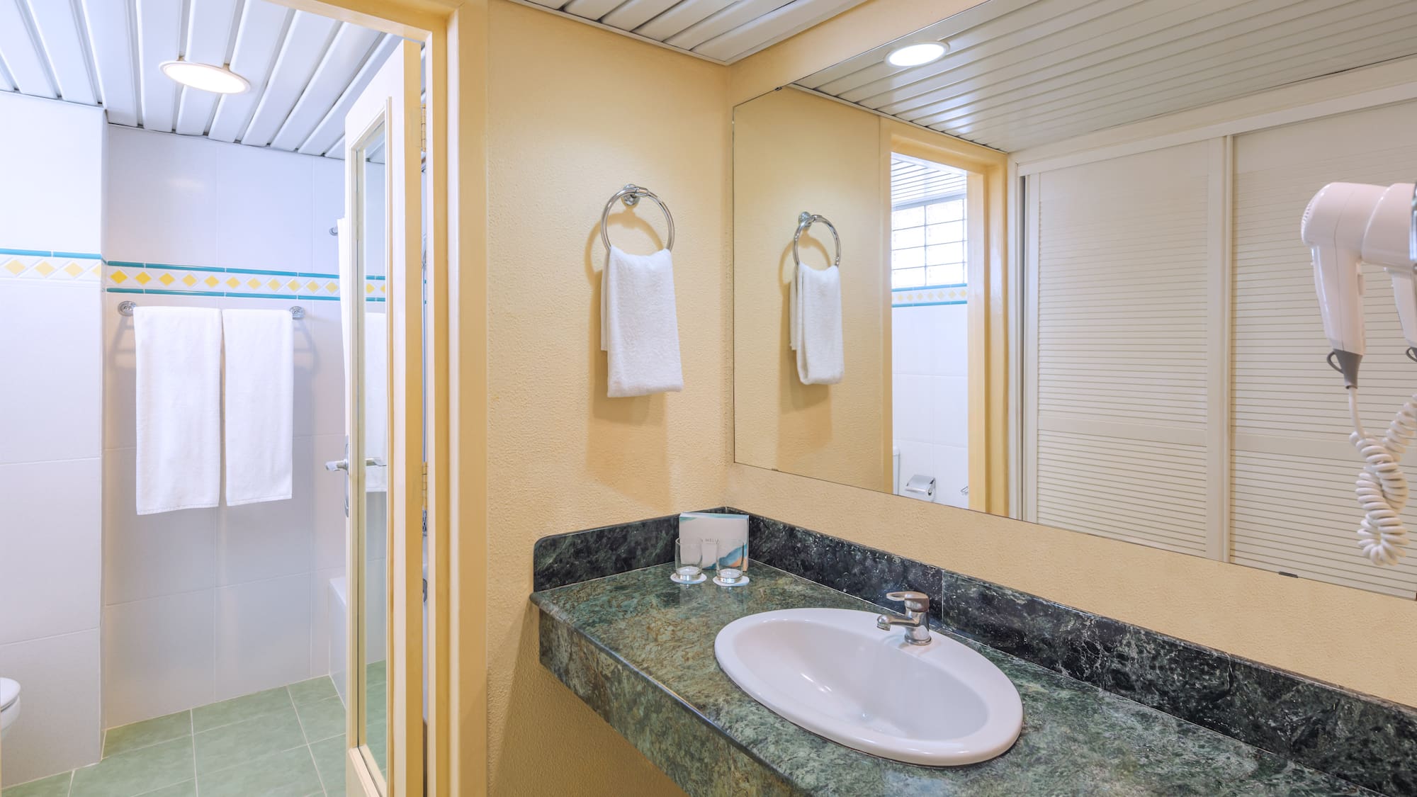 a bathroom with a sink and a shower