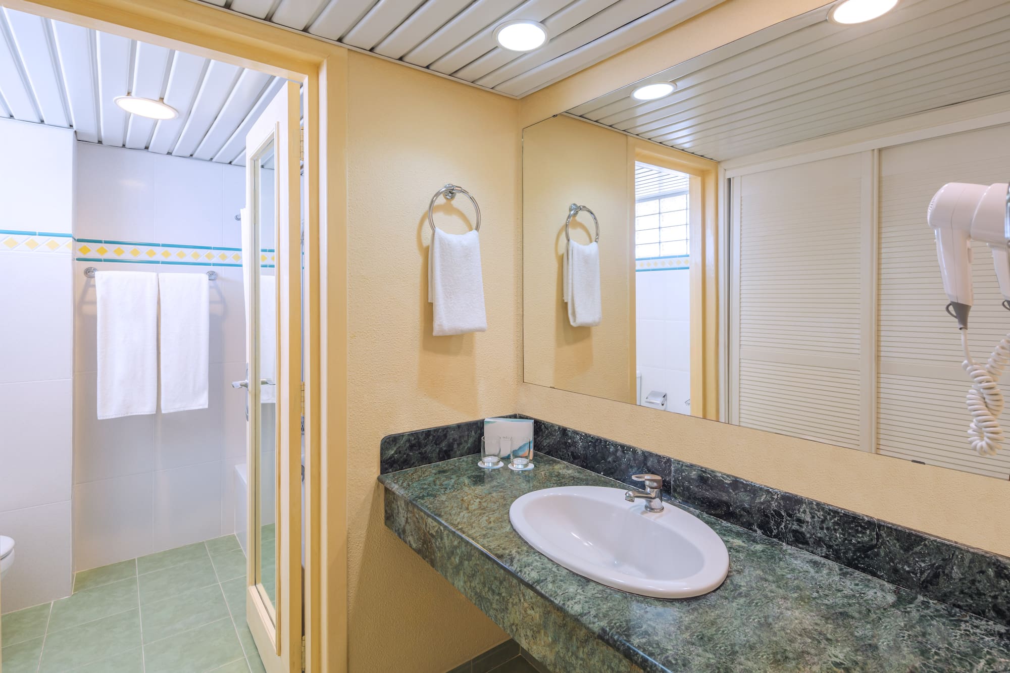 a bathroom with a sink and a shower