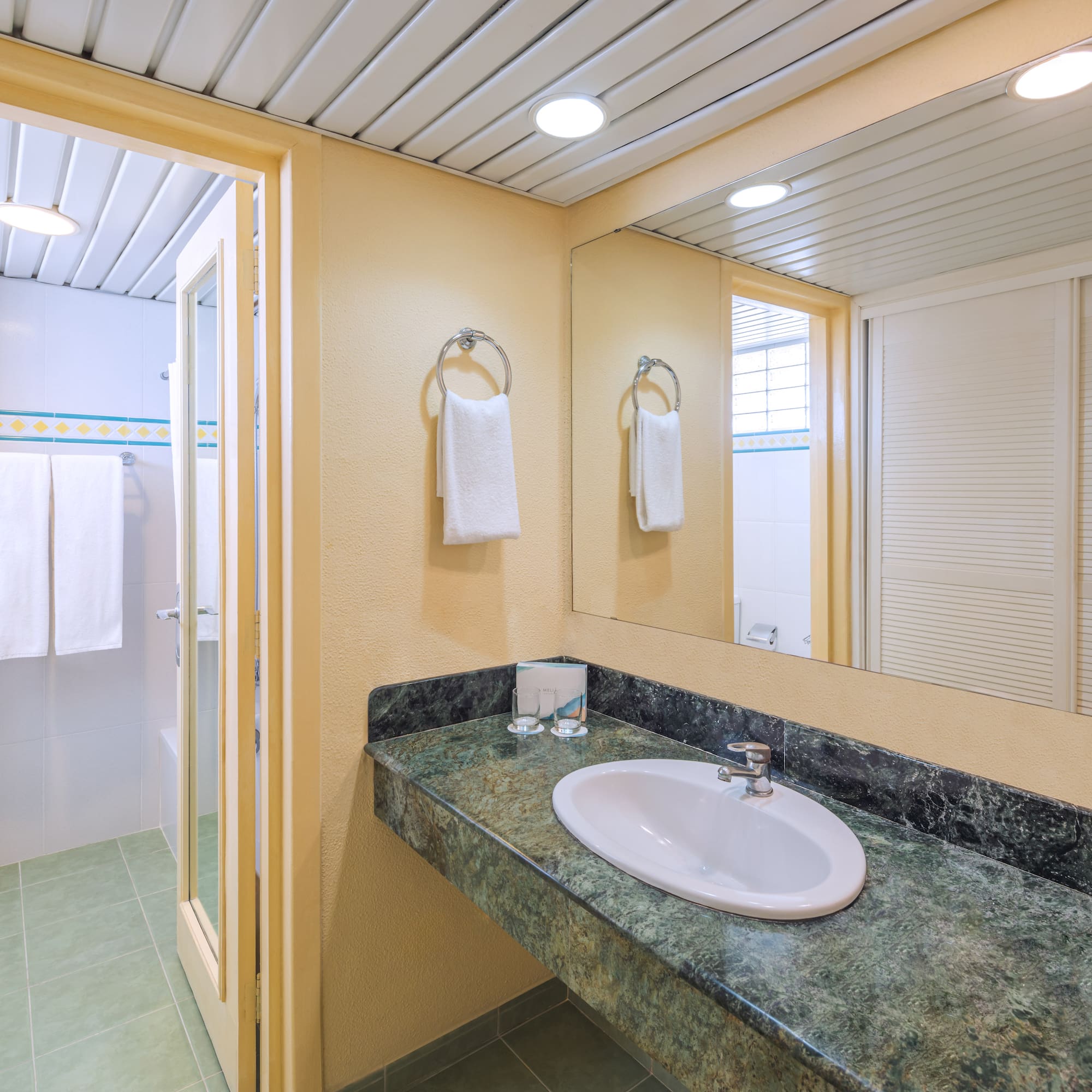 a bathroom with a sink and a shower