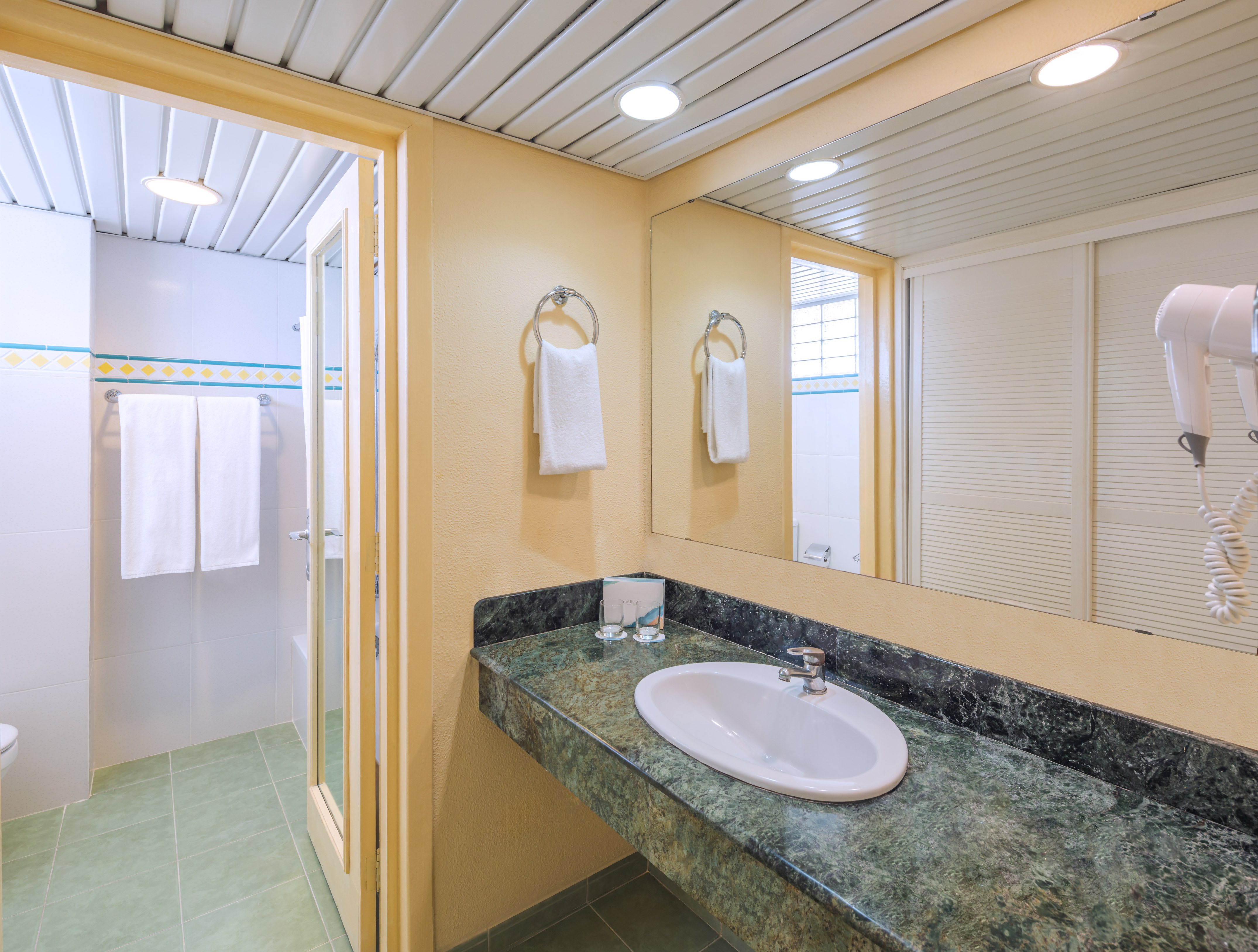 a bathroom with a sink and a shower