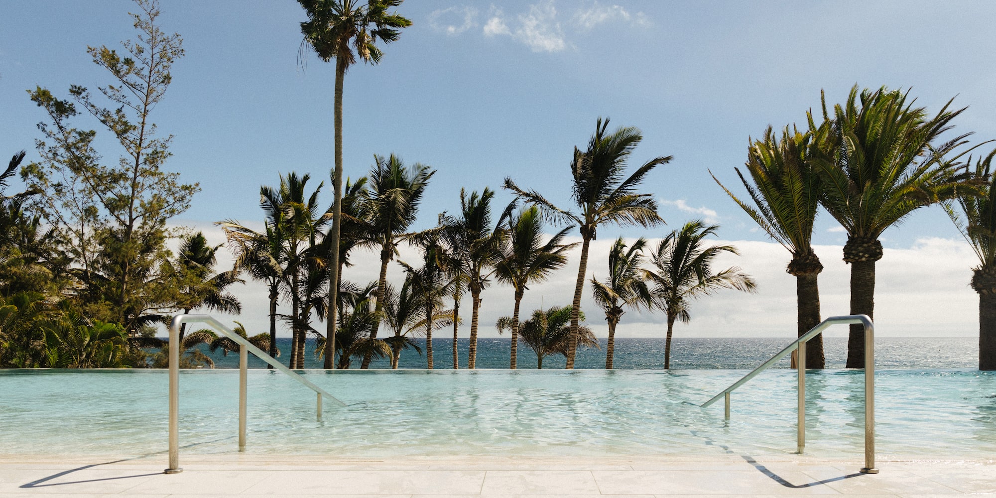 Tropical infinity pool with ocean view and palm trees.