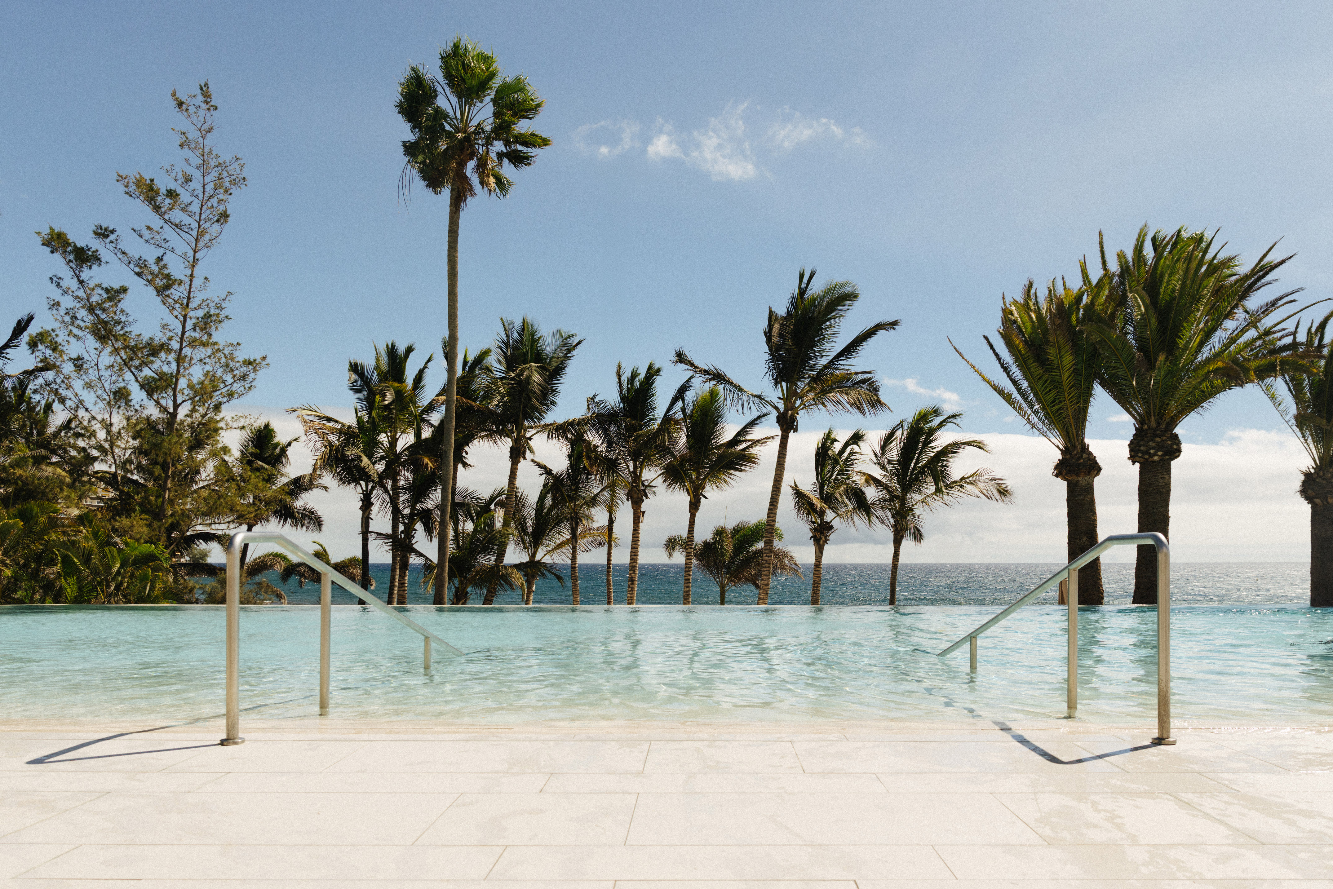 Tropical infinity pool with ocean view and palm trees.