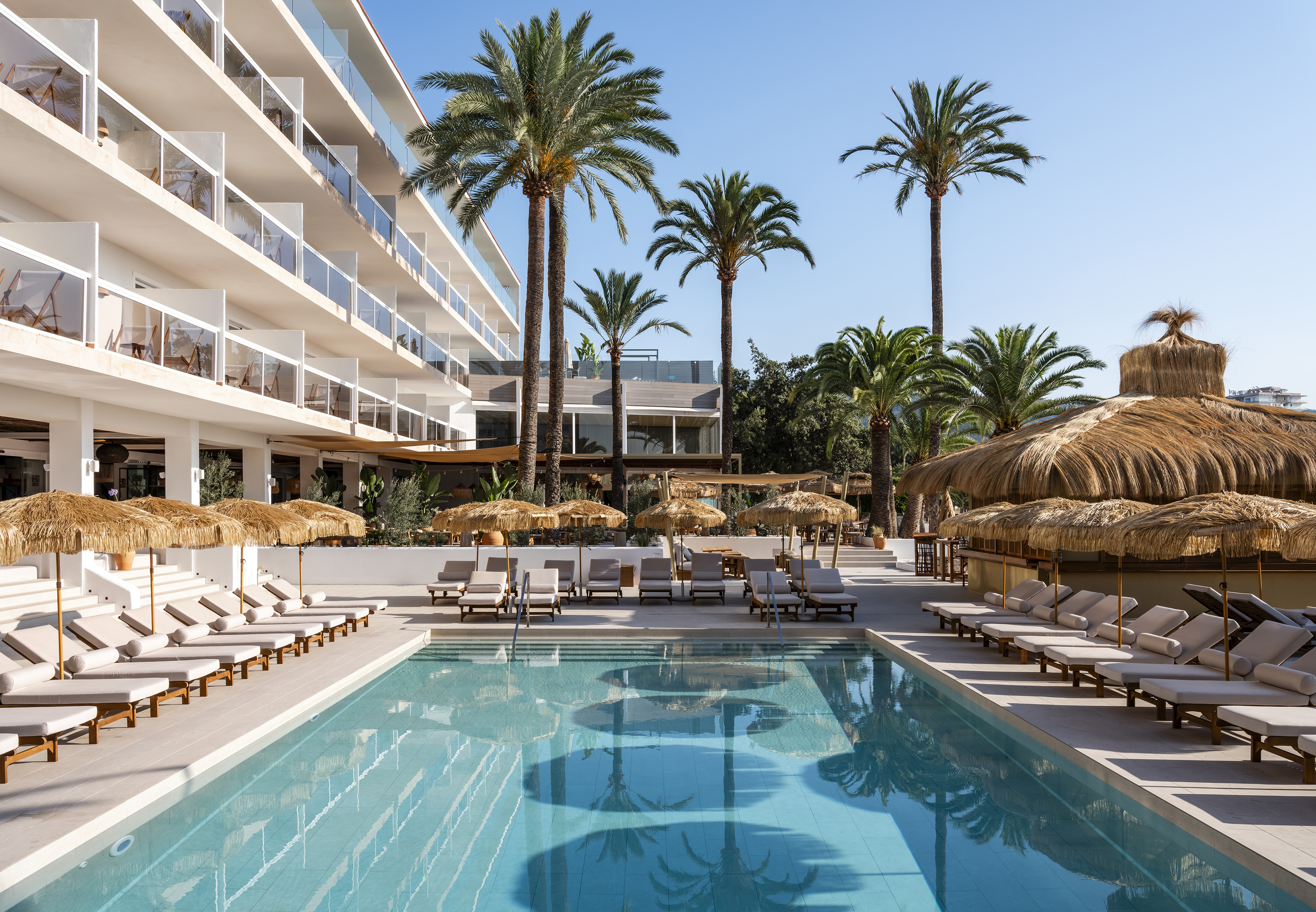 Sunny resort pool with modern hotel building, palm trees, and sun loungers.