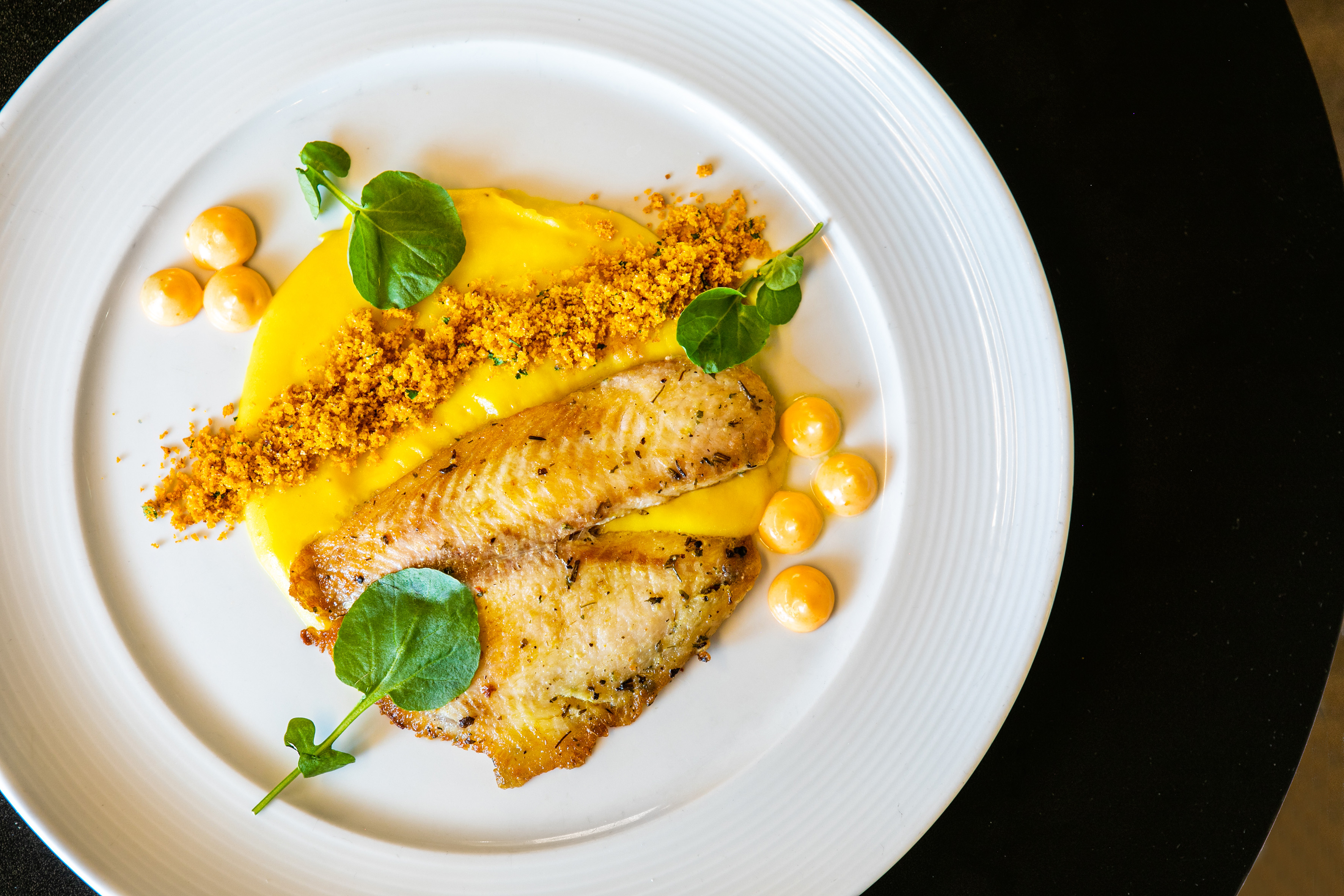 food on a plate