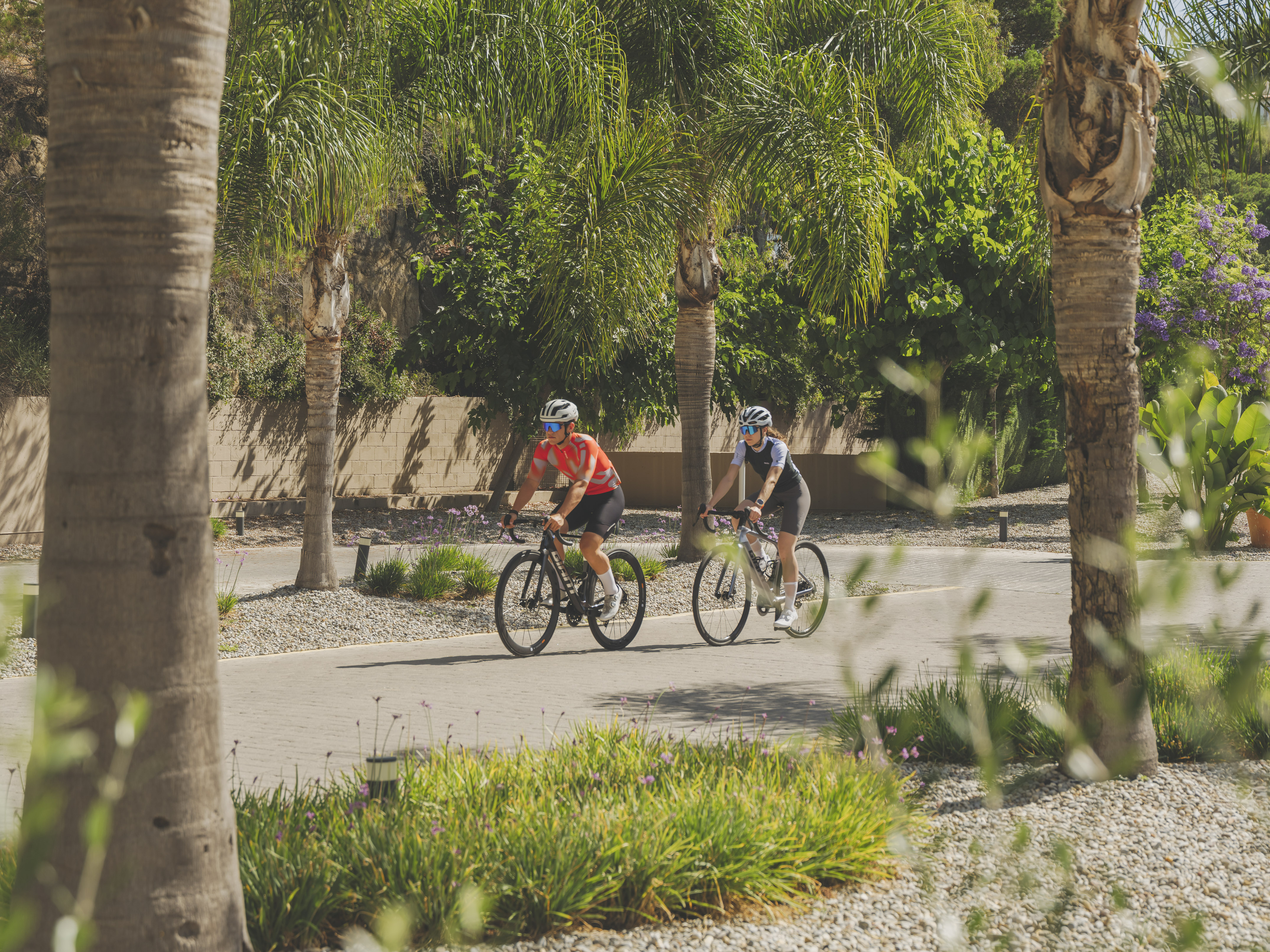Two cyclists ride road bikes on a sunny paved path with palm trees.