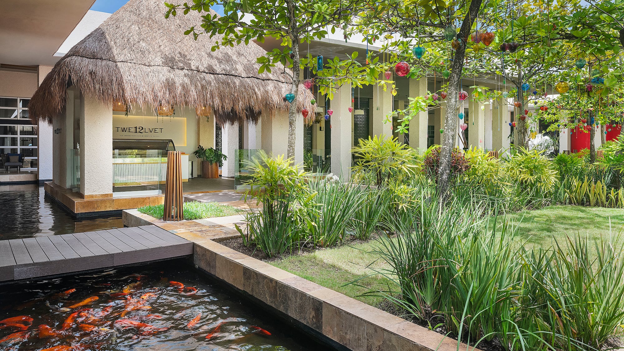 a pond with fish in it