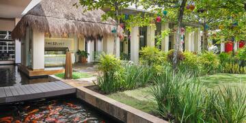 a pond with fish in it