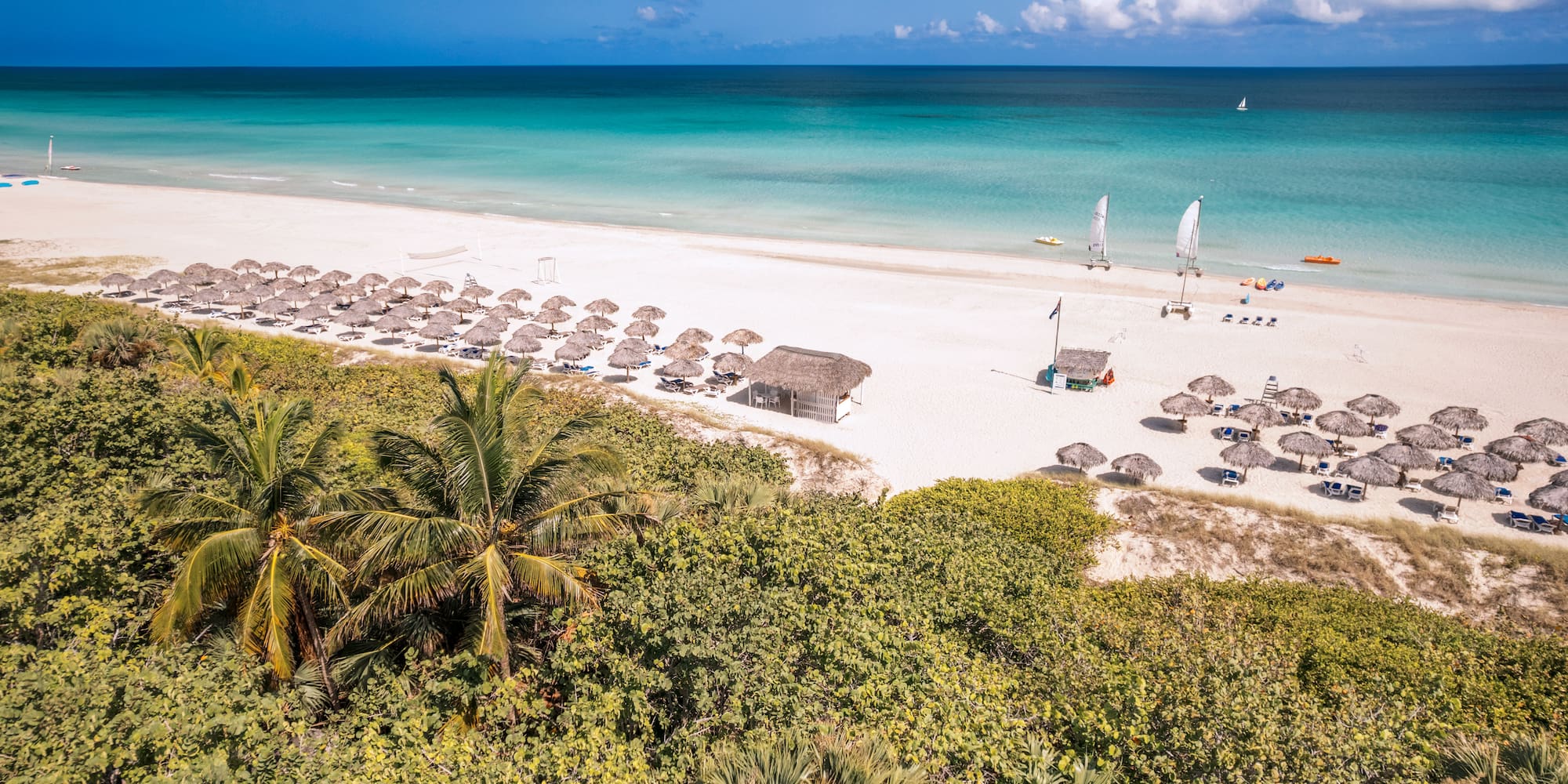 a beach with umbrellas and palm trees