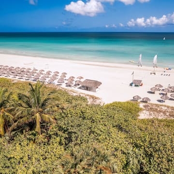 a beach with umbrellas and palm trees