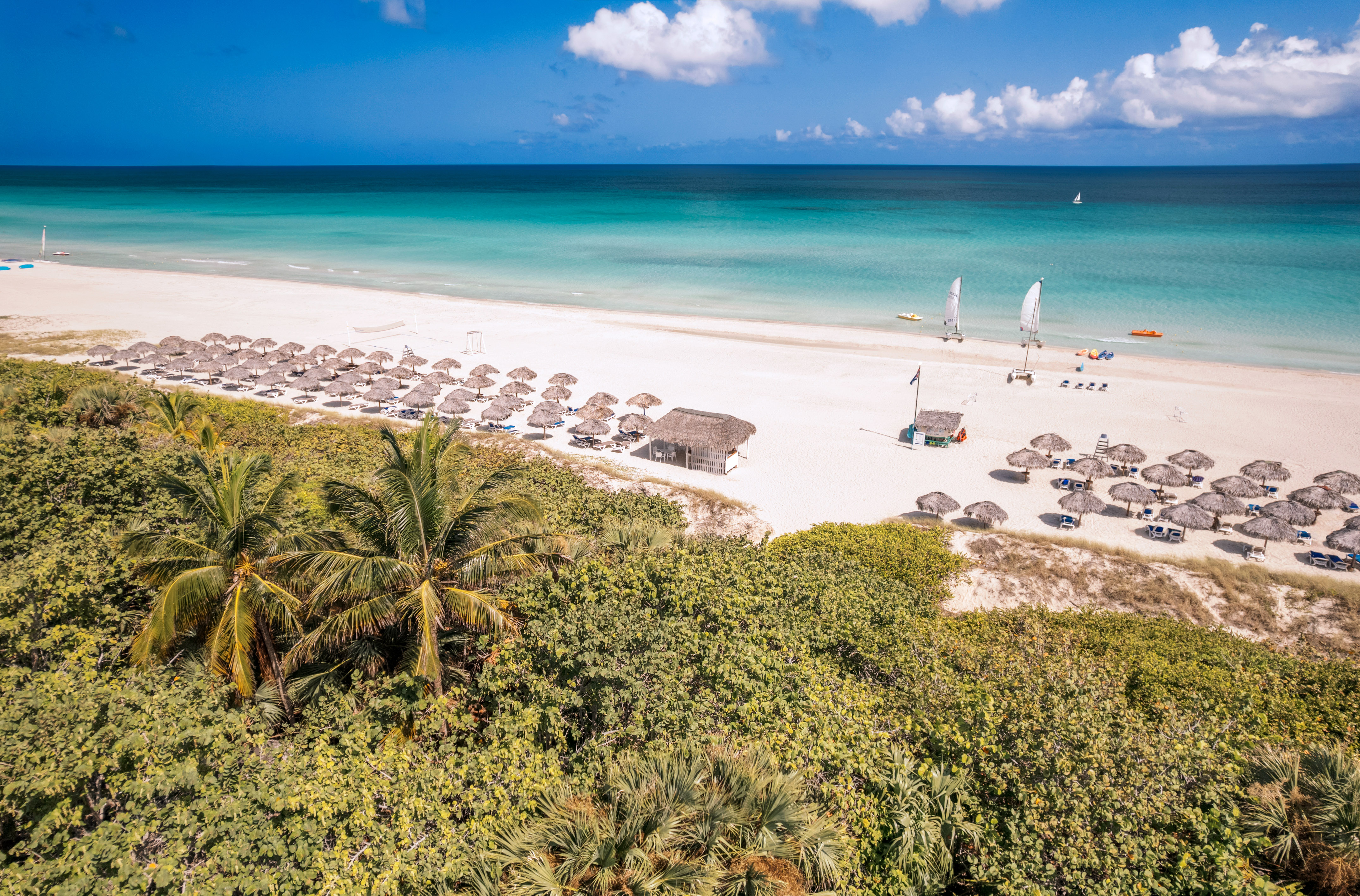 a beach with umbrellas and palm trees