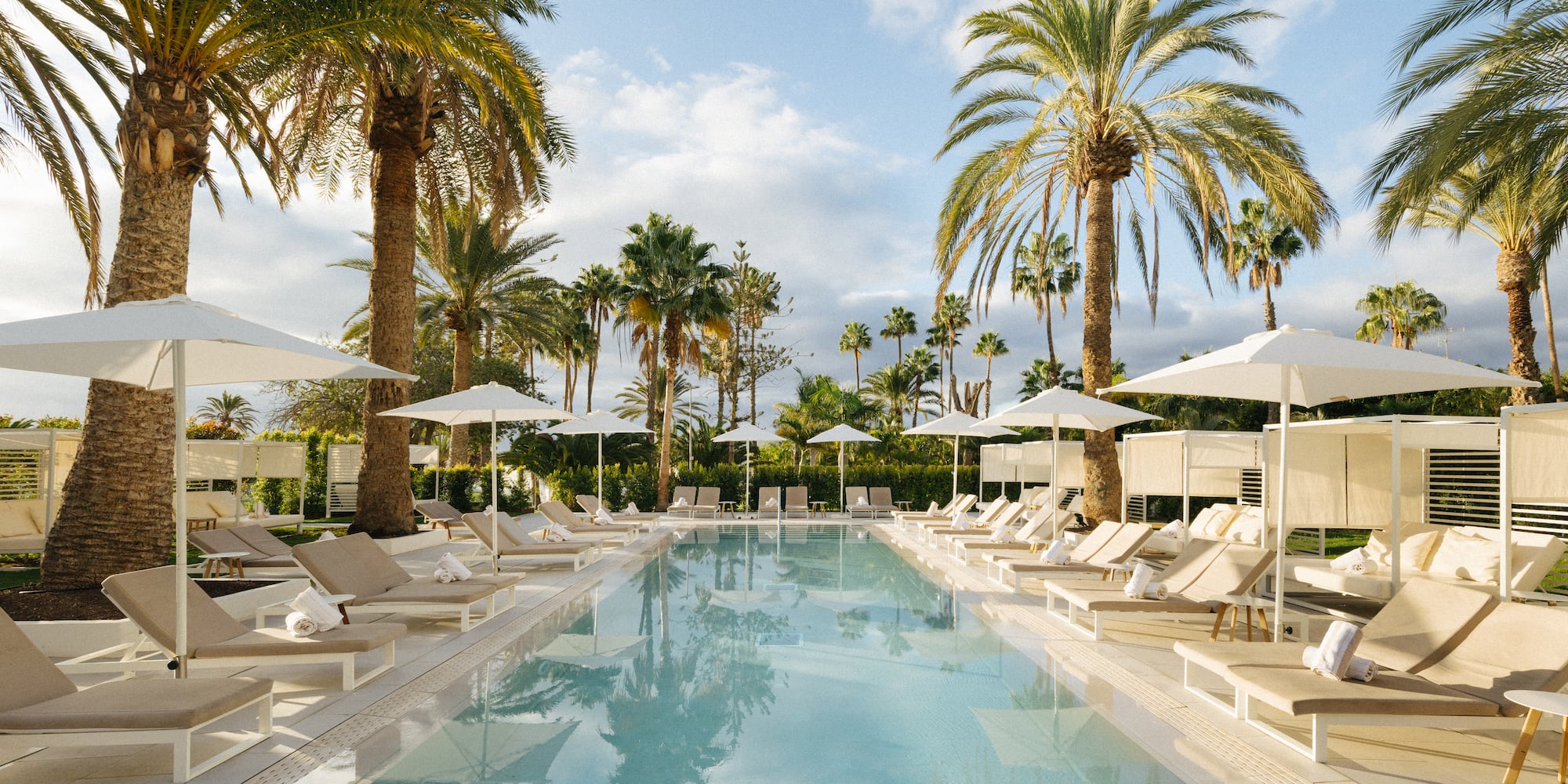 Hotel swimming pool with sun loungers, white umbrellas, and numerous palm trees.