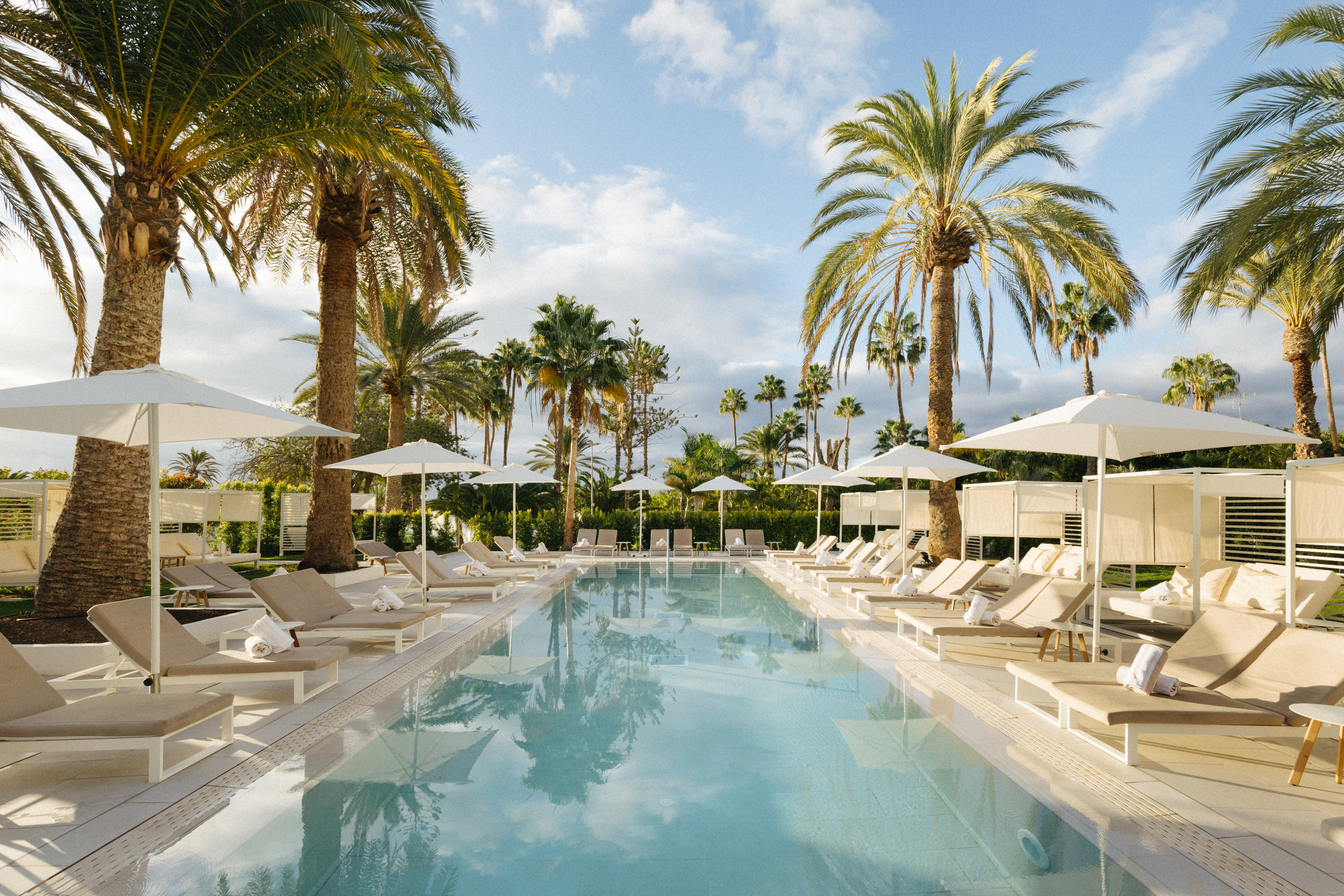 Hotel swimming pool with sun loungers, white umbrellas, and numerous palm trees.