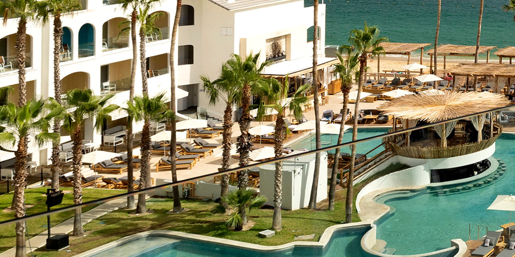 a swimming pool with palm trees and a building with a body of water