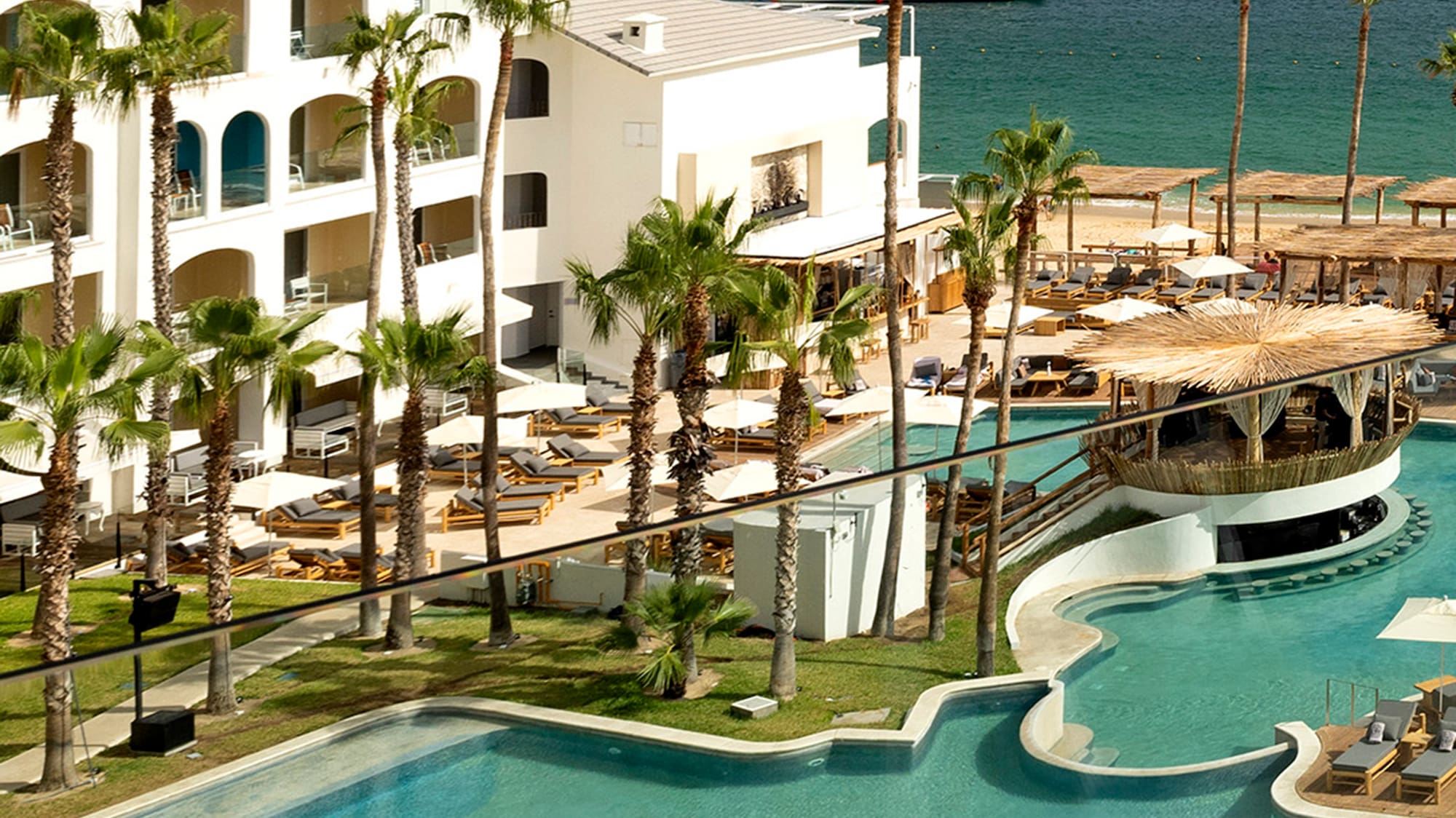 a swimming pool with palm trees and a building with a body of water