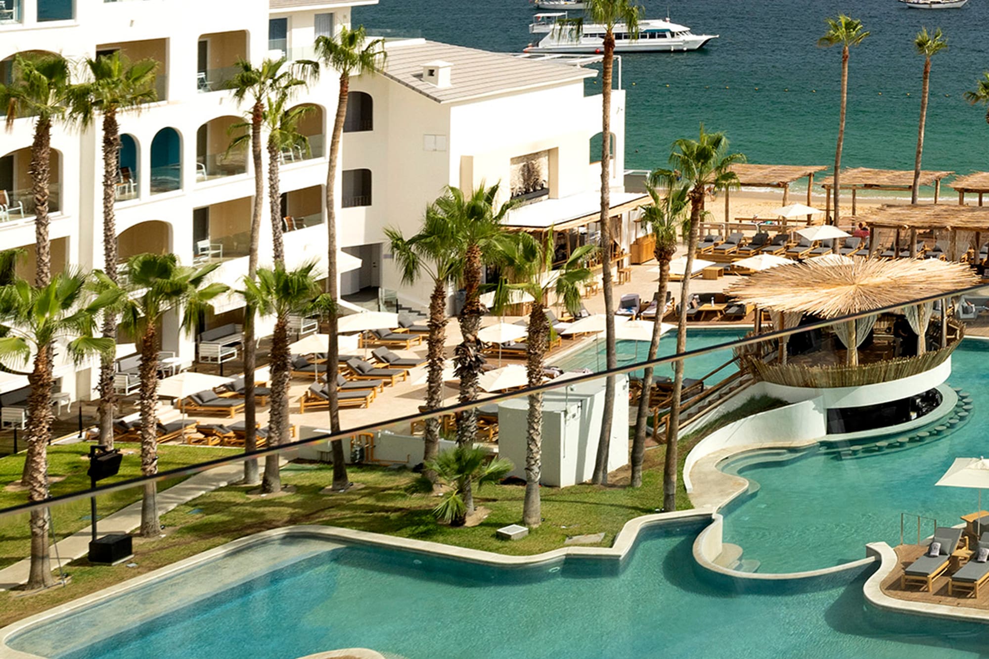 a swimming pool with palm trees and a building with a body of water