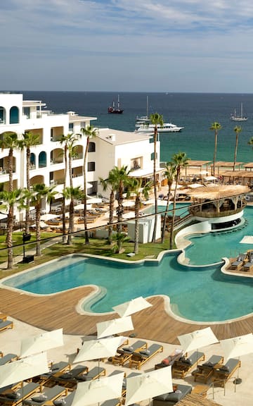 a swimming pool with palm trees and a building with a body of water