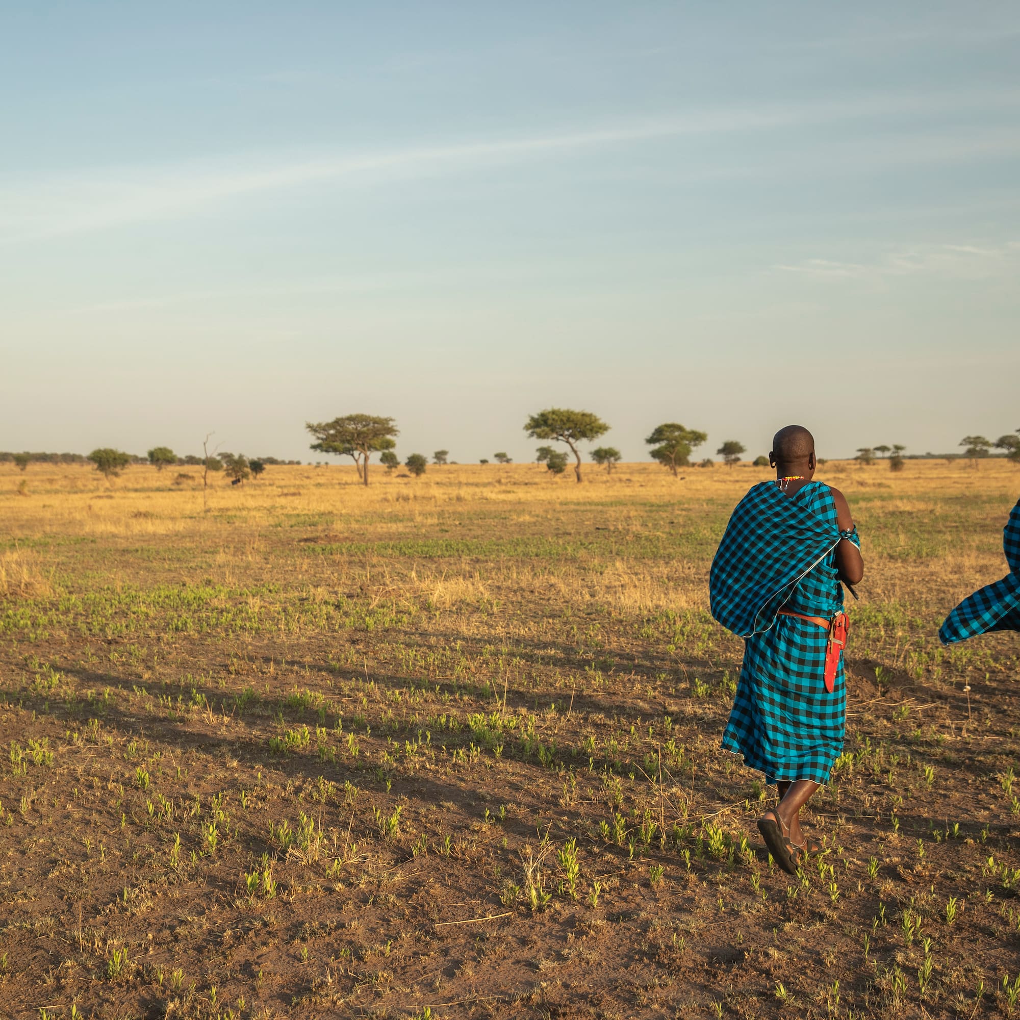 a group of men in blue robes walking in a field