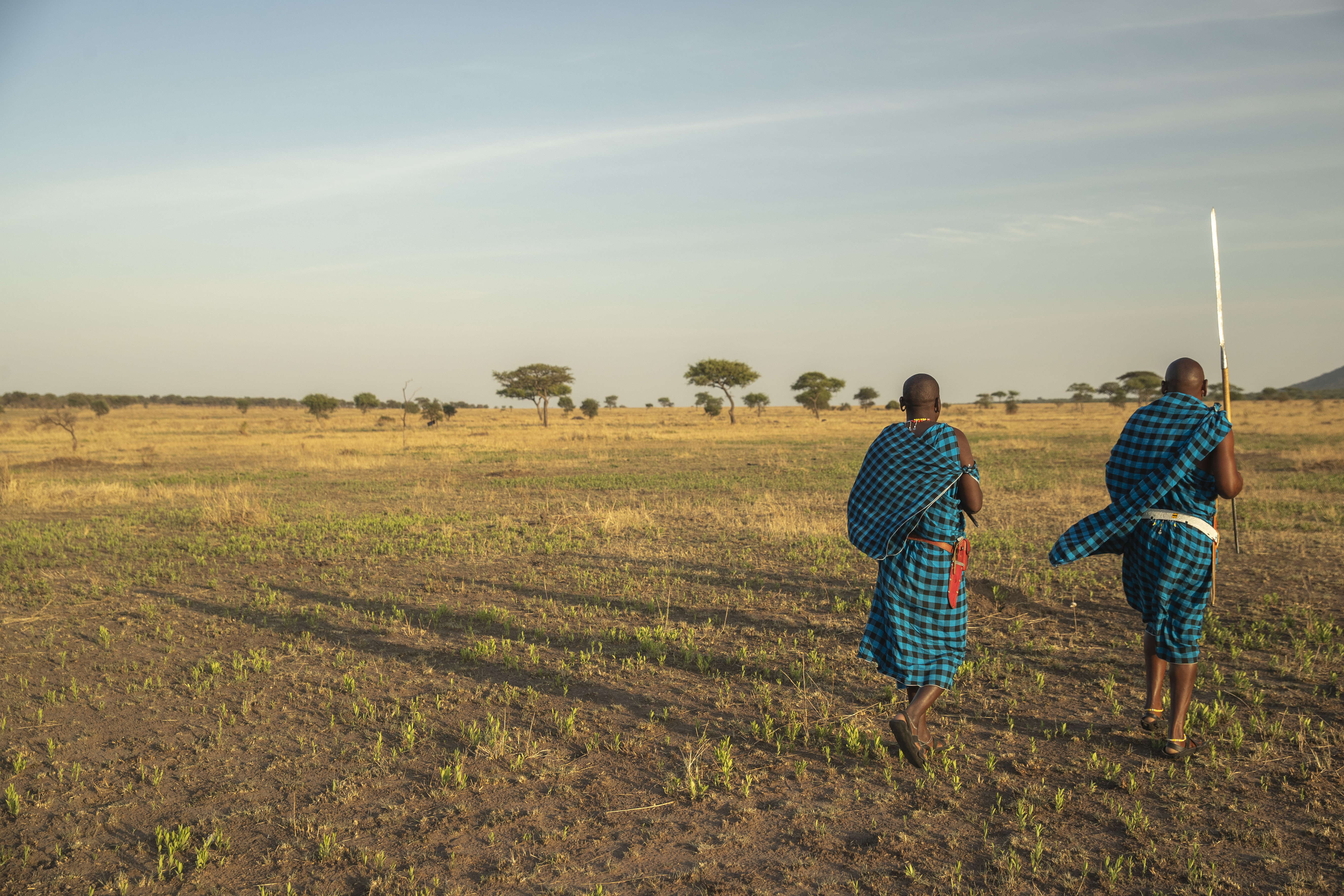 a group of men in blue robes walking in a field