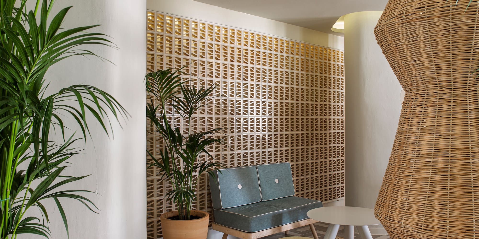 a room with a couch and plants