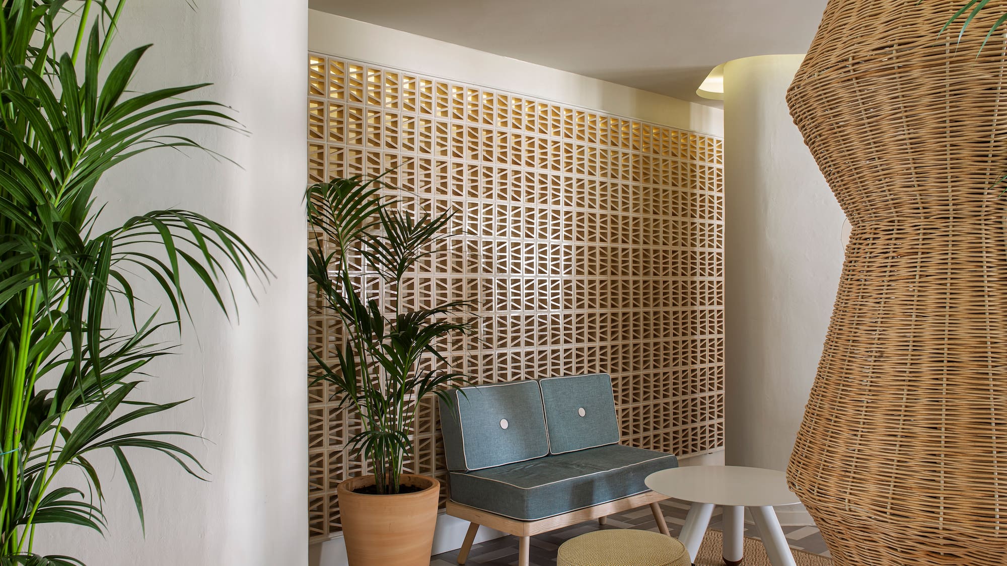 a room with a couch and plants