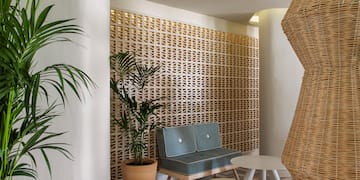 a room with a couch and plants