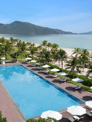 a swimming pool with palm trees and a beach.