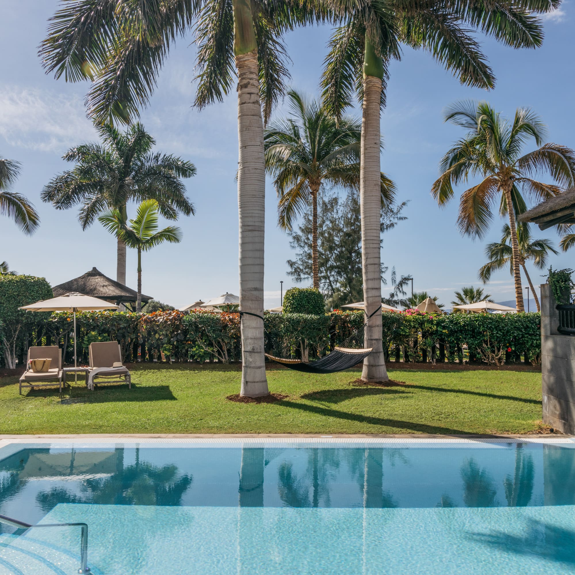a pool with palm trees and a lawn