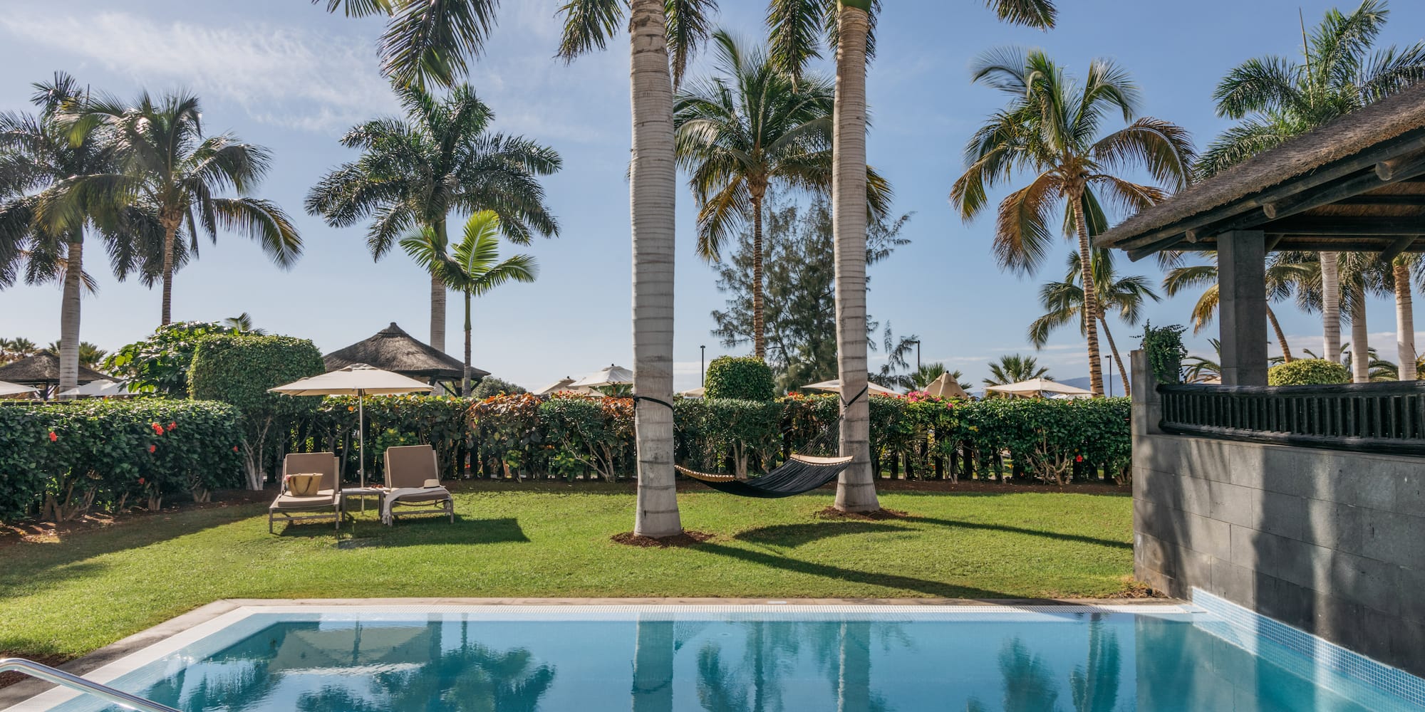 a pool with palm trees and a lawn