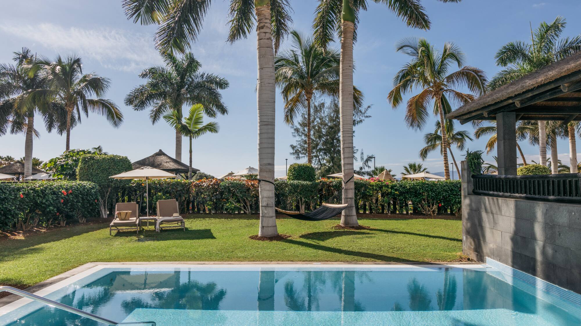 a pool with palm trees and a lawn