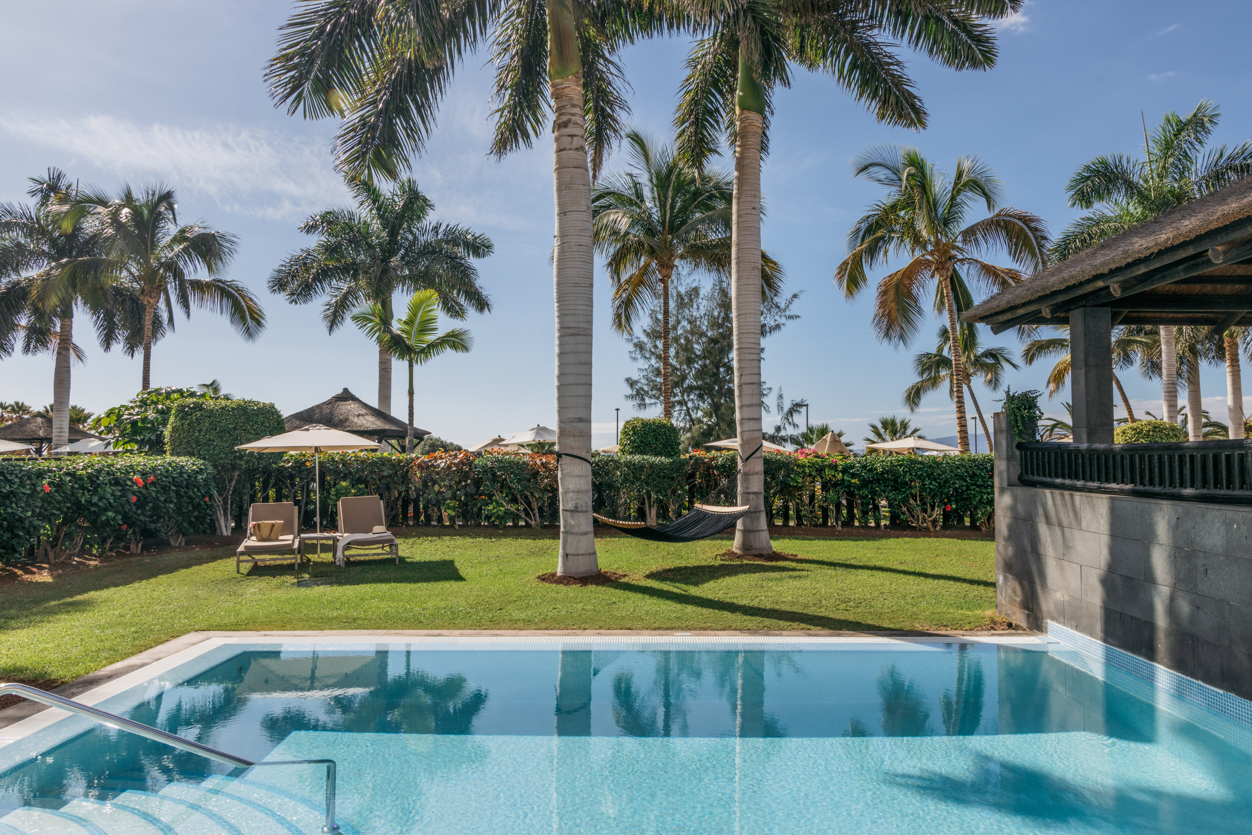 Luxury resort pool with tall palm trees, green garden, loungers, and hammock.