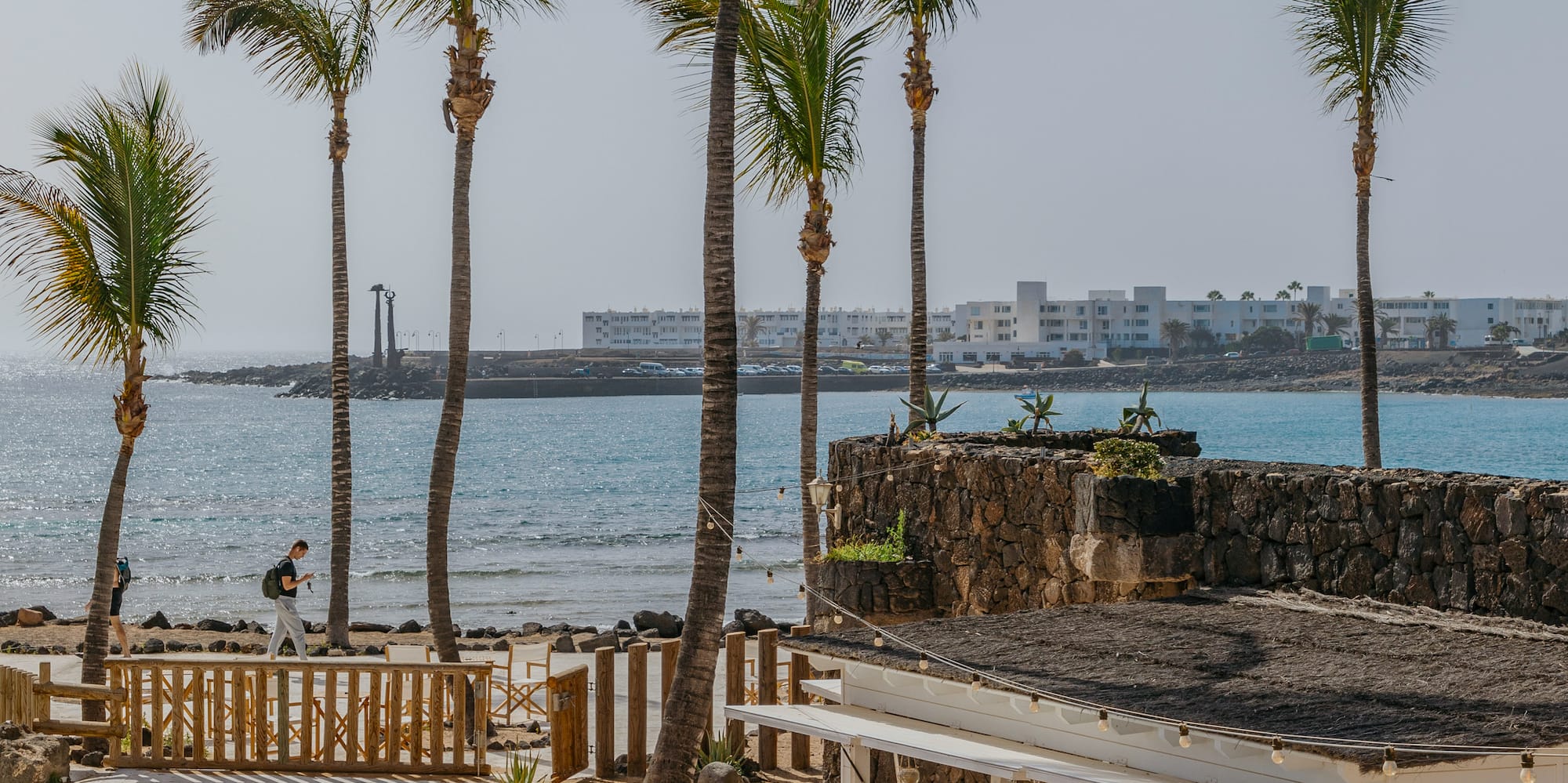 a beach with palm trees and a building