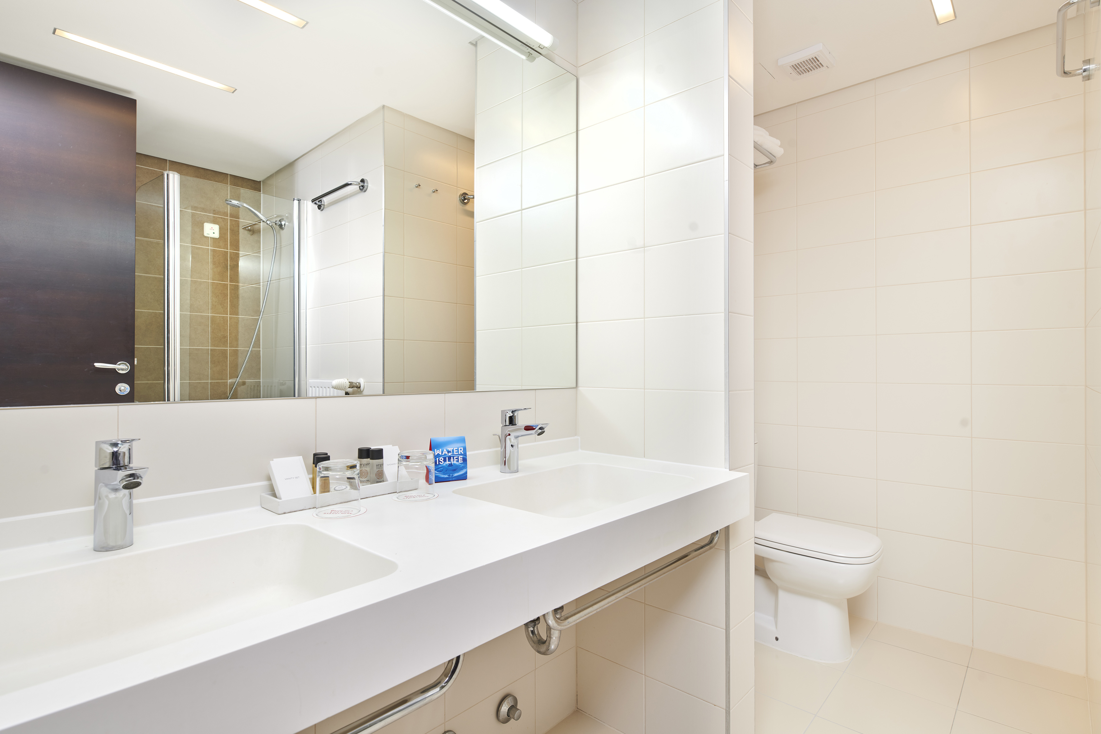 a bathroom with a sink and toilet