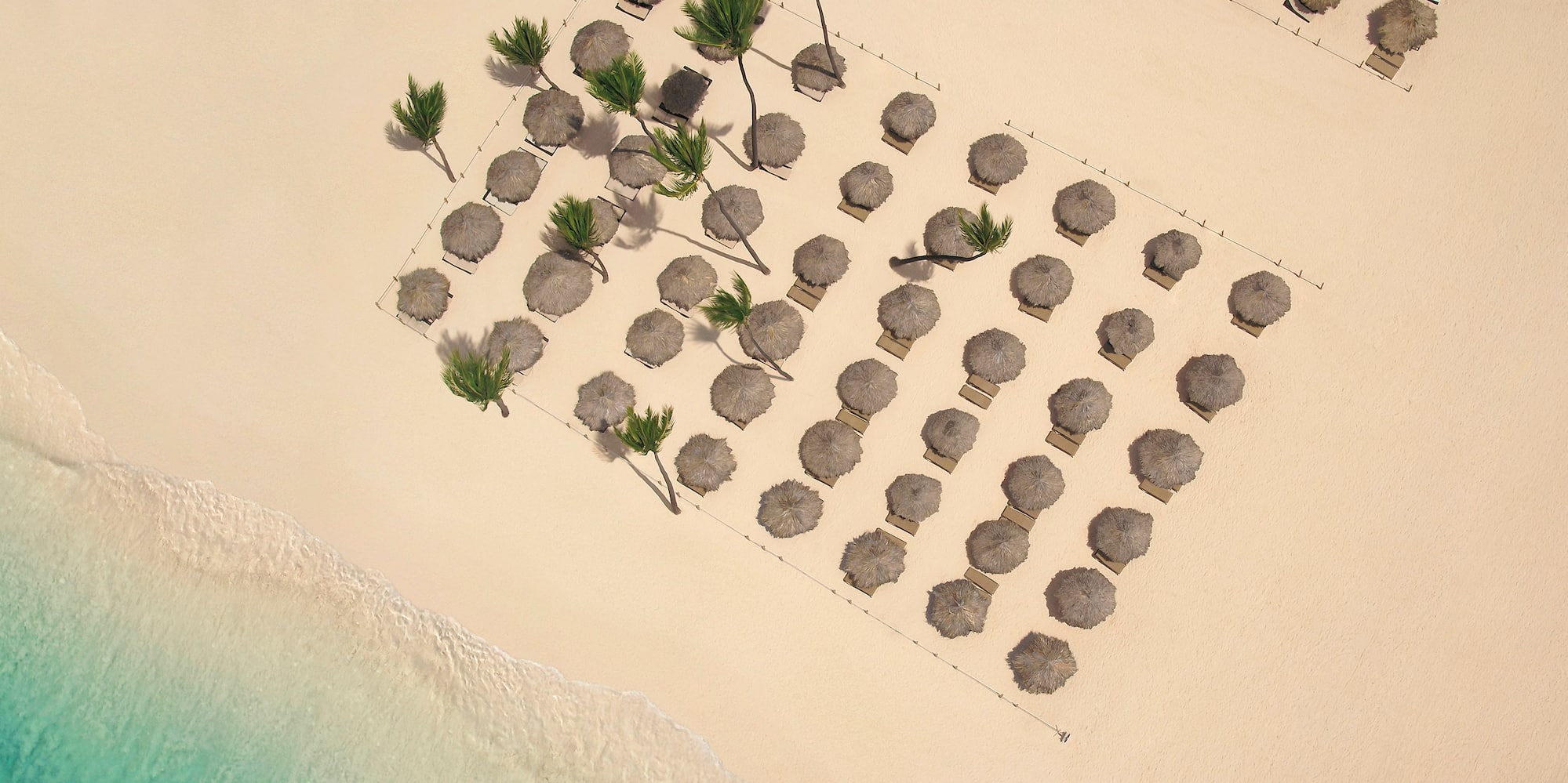 aerial view of a beach with umbrellas and palm trees