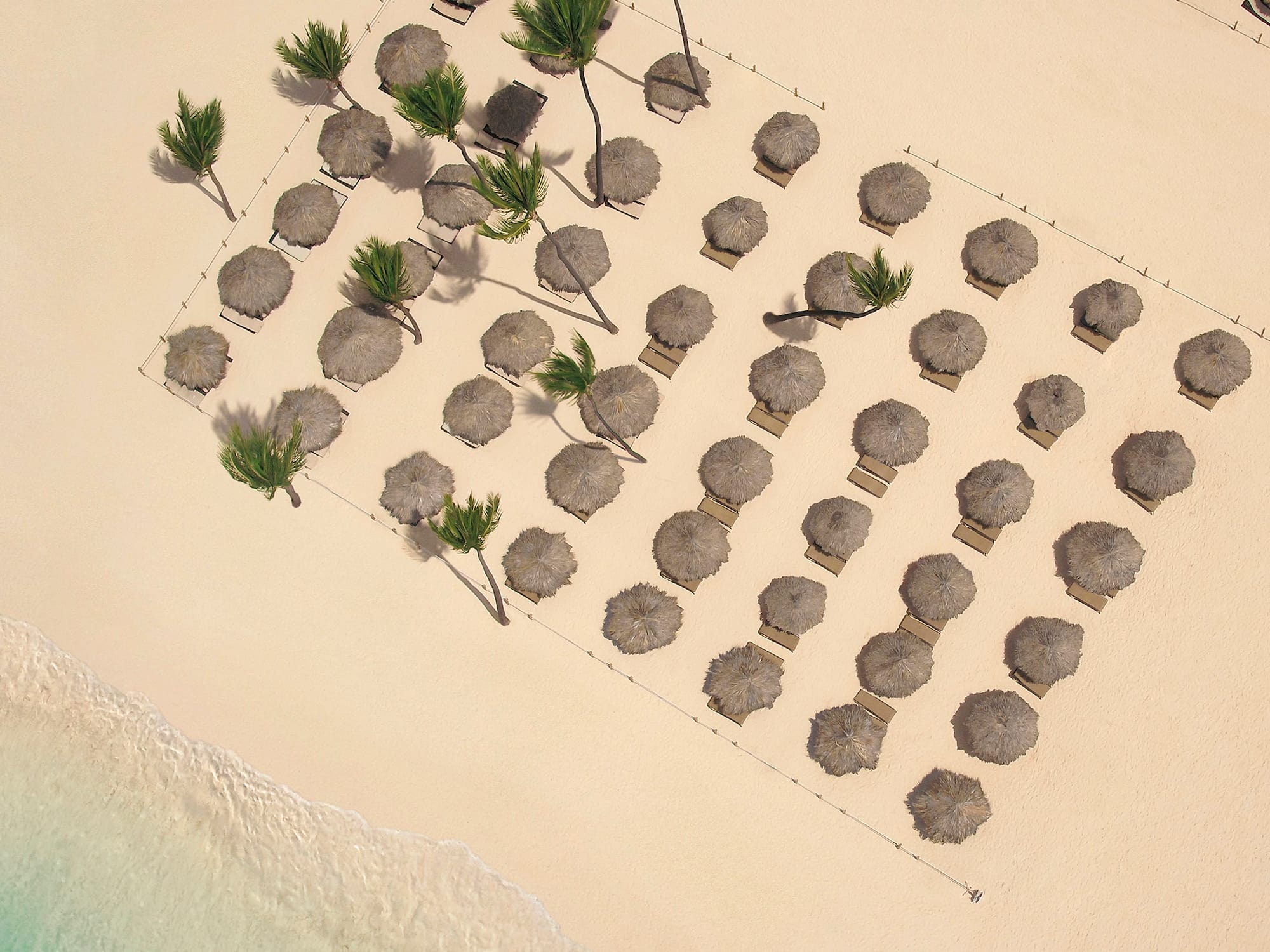 aerial view of a beach with umbrellas and palm trees