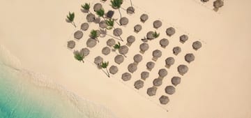 aerial view of a beach with umbrellas and palm trees