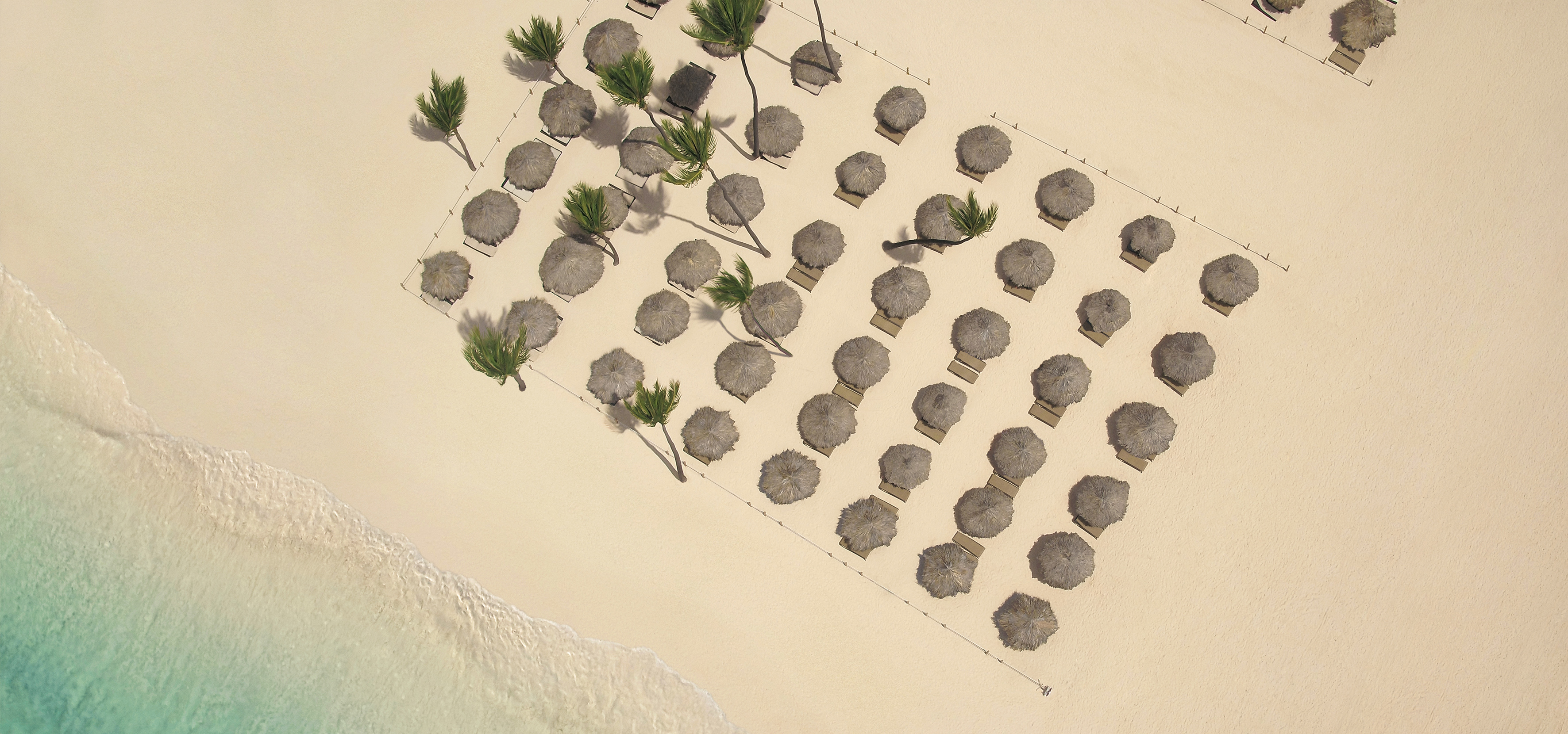 Aerial view of tropical beach with rows of straw umbrellas, palm trees, and ocean.