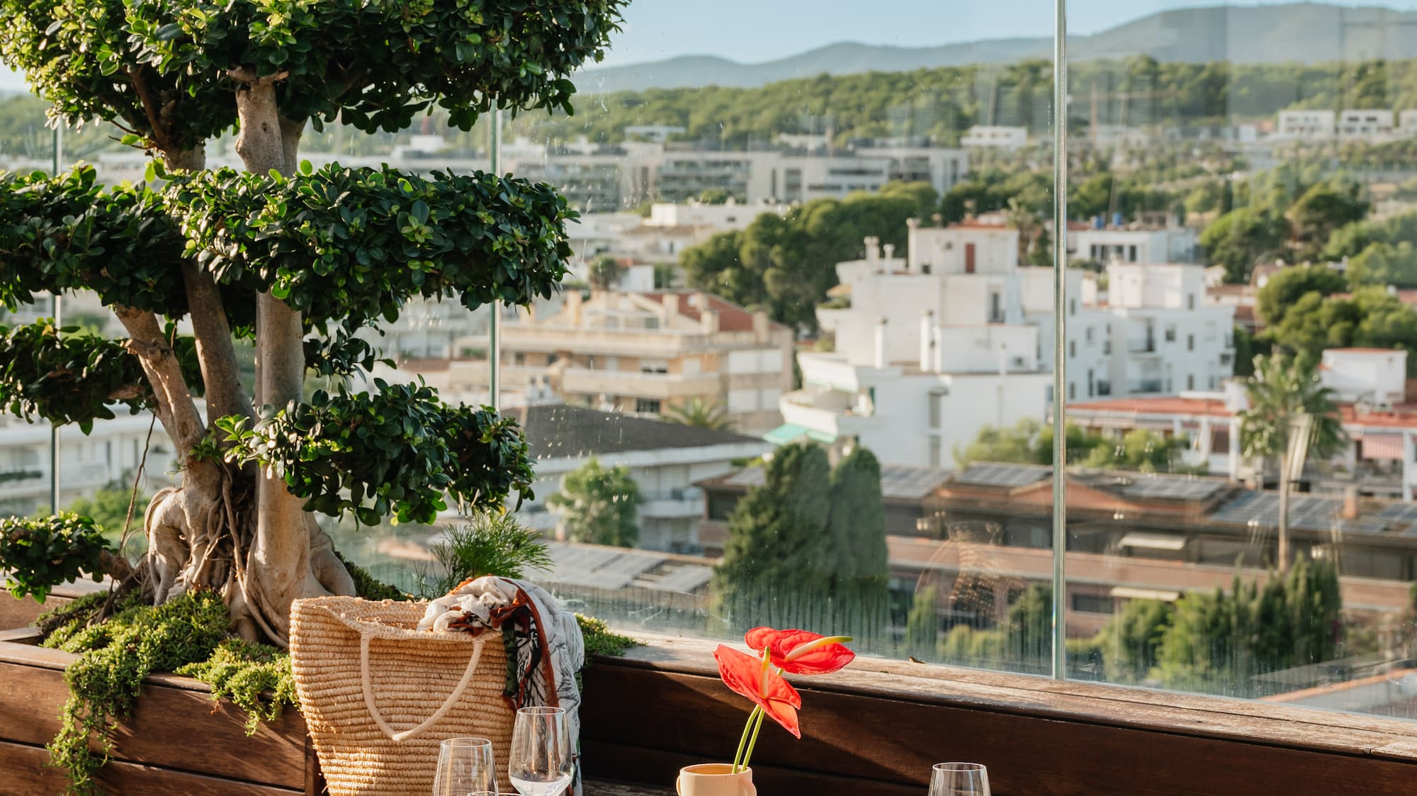 a table set up with a potted plant and a tree in the background