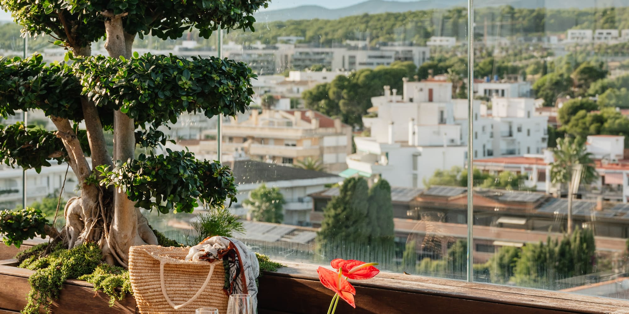 a table set up with a potted plant and a tree in the background