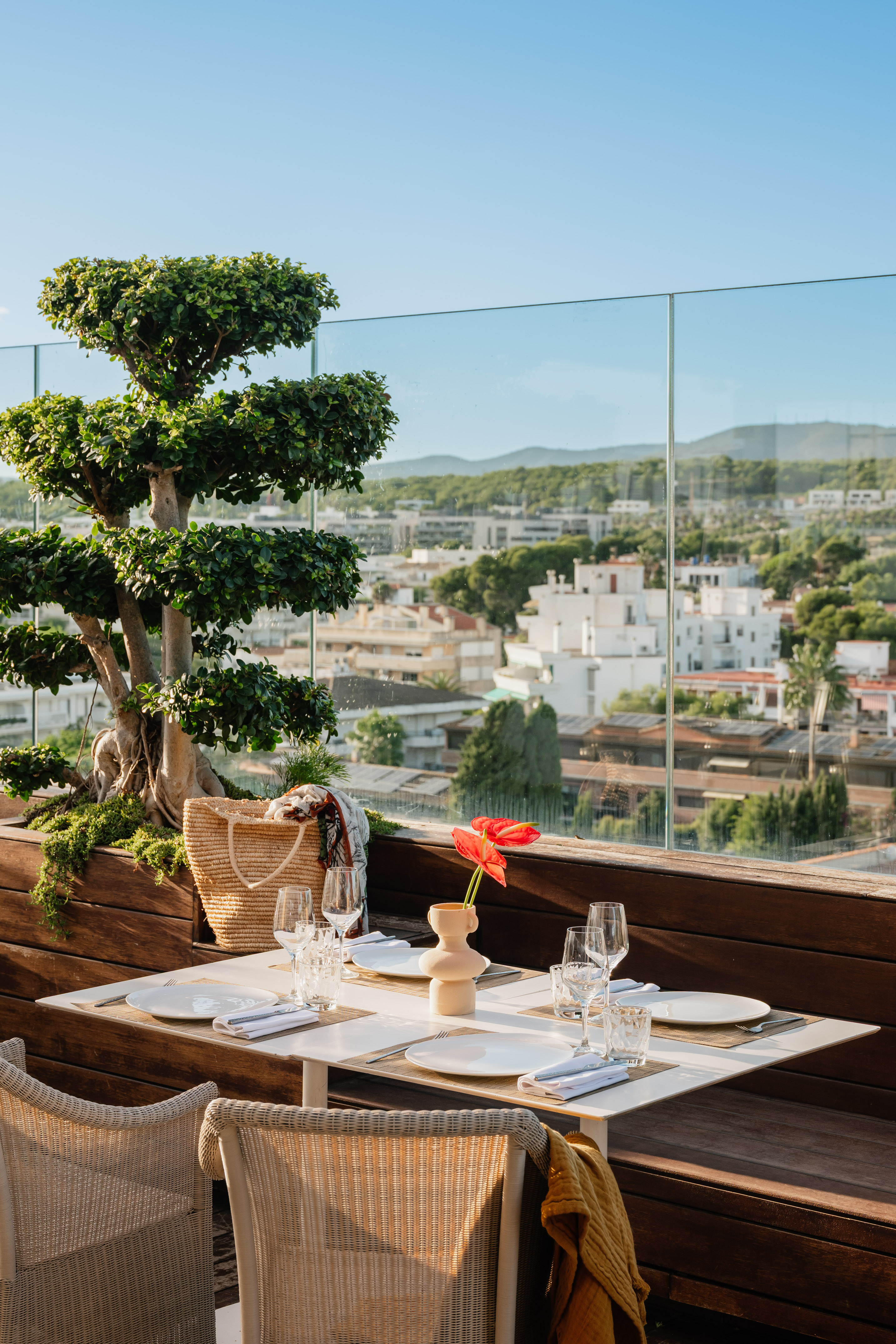 a table set up with a potted plant and a tree in the background