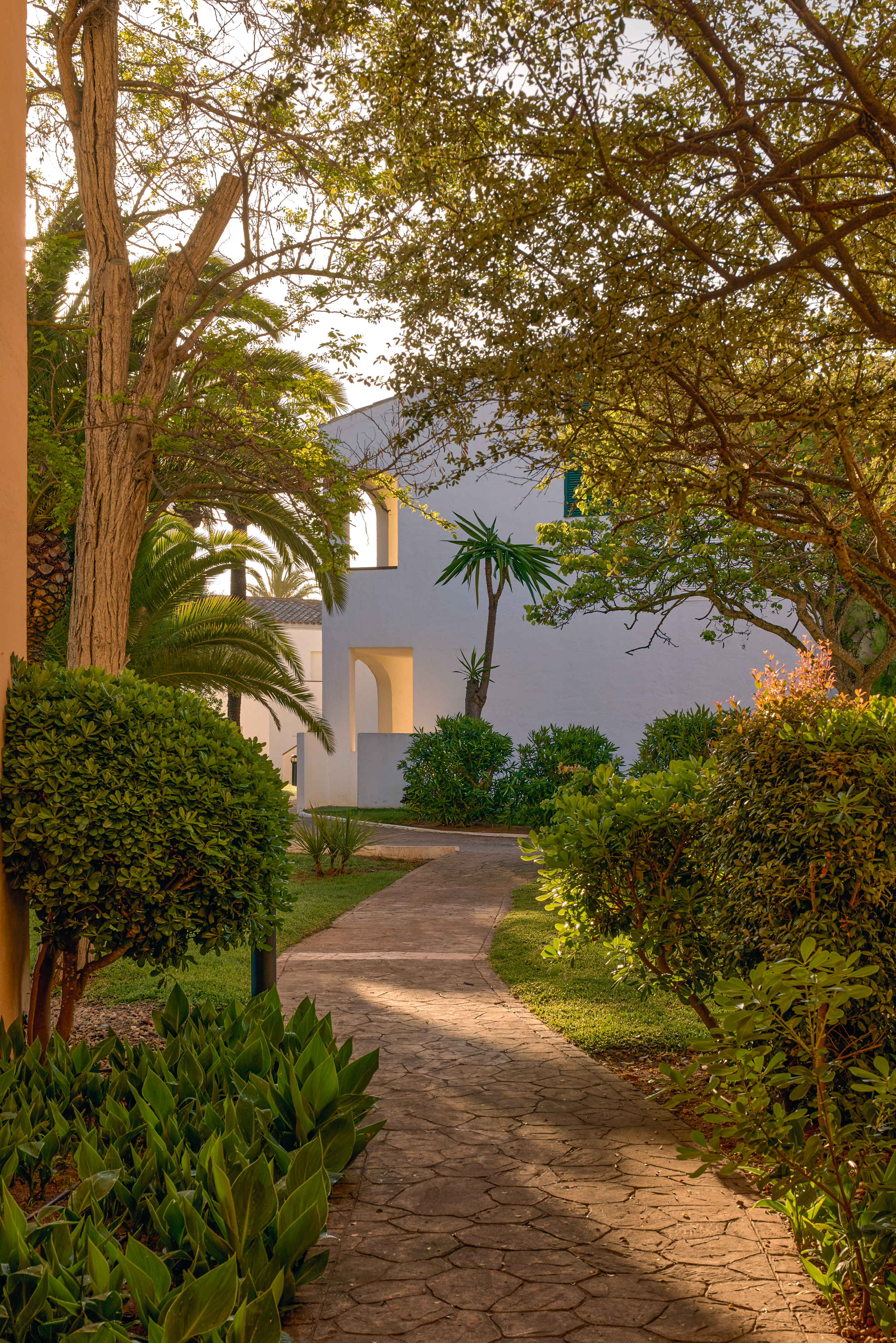 Resort garden path with lush greenery, palm trees, and a white building in sunlight.