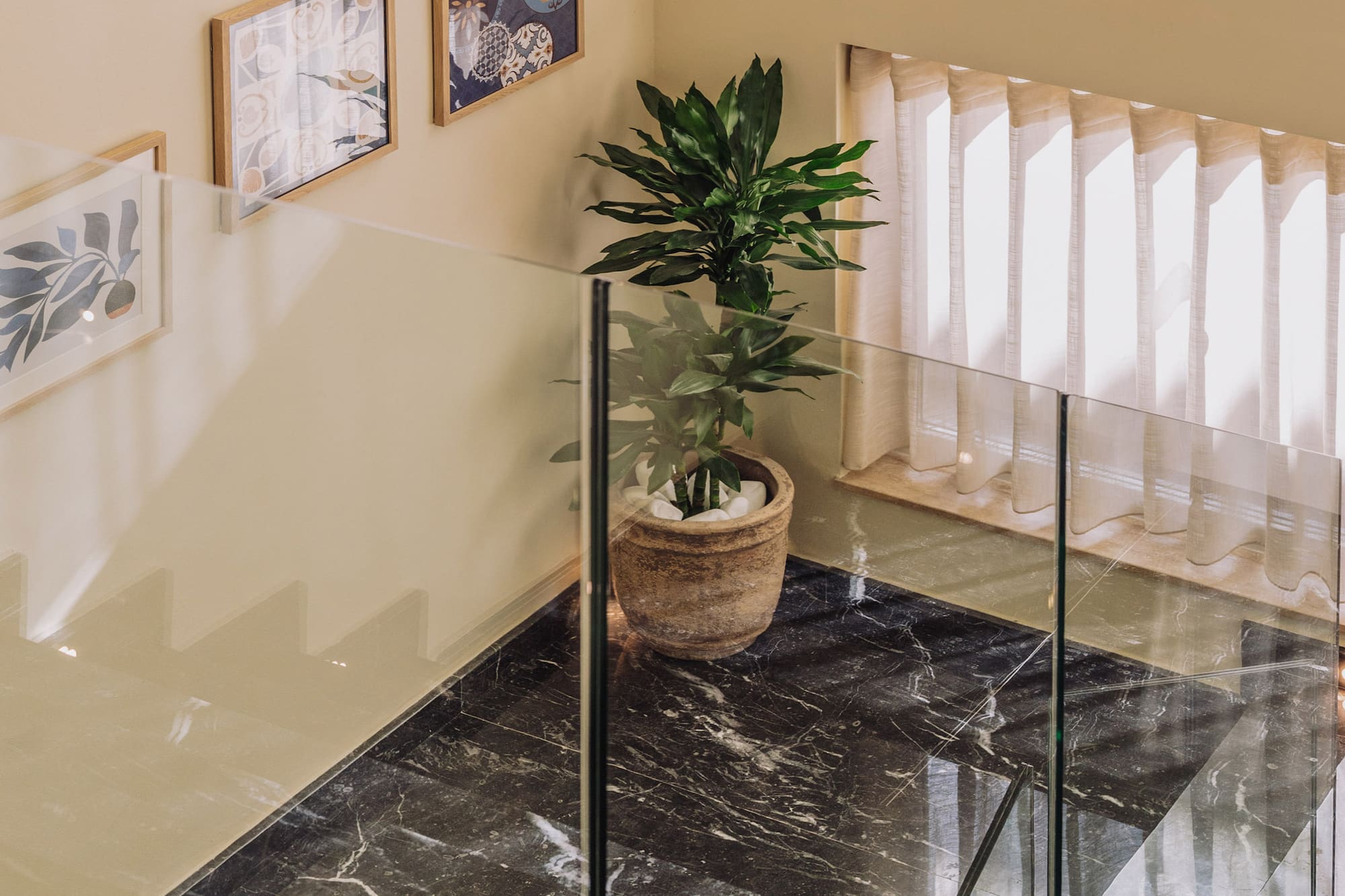 Black marble staircase with glass railing, large plant, and framed art.
