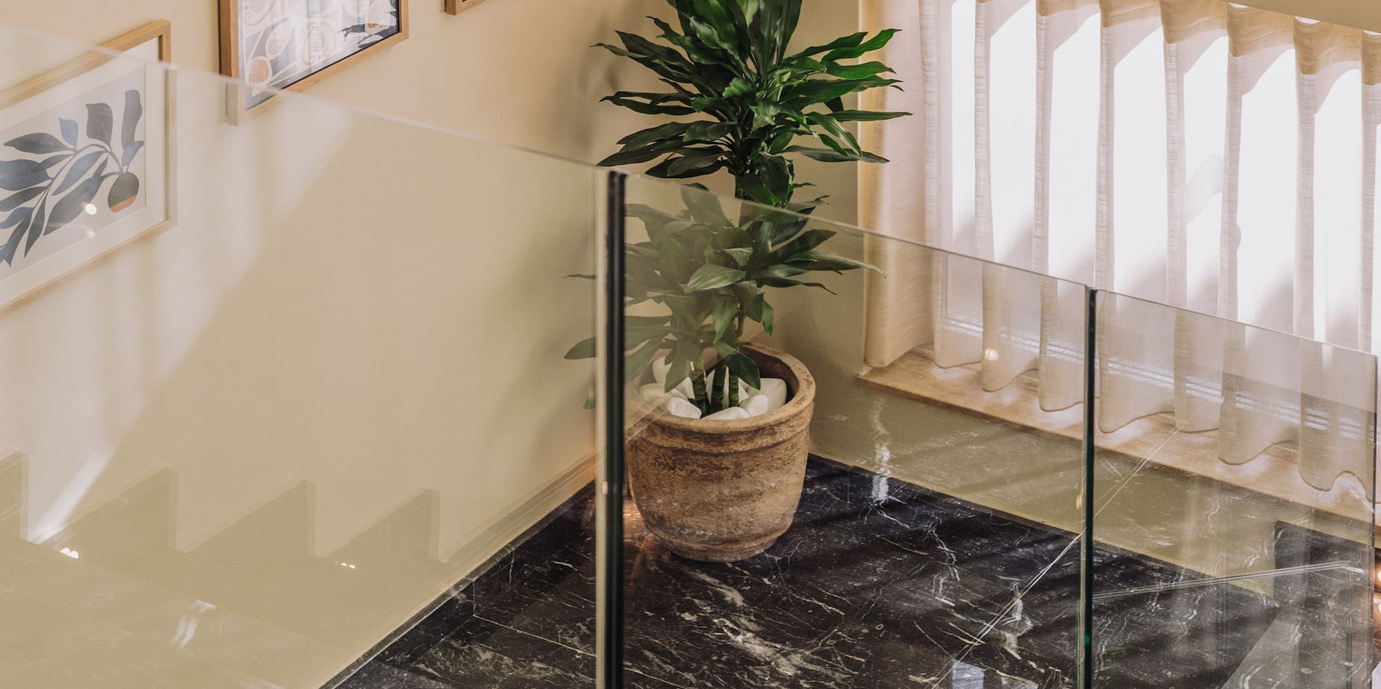 a staircase with glass railing and a plant in a pot