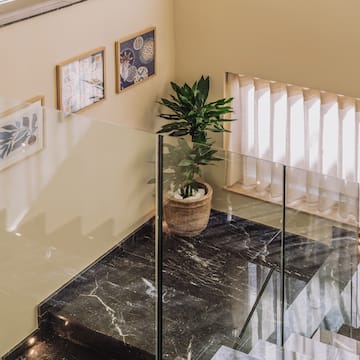 a staircase with glass railing and a plant in a pot
