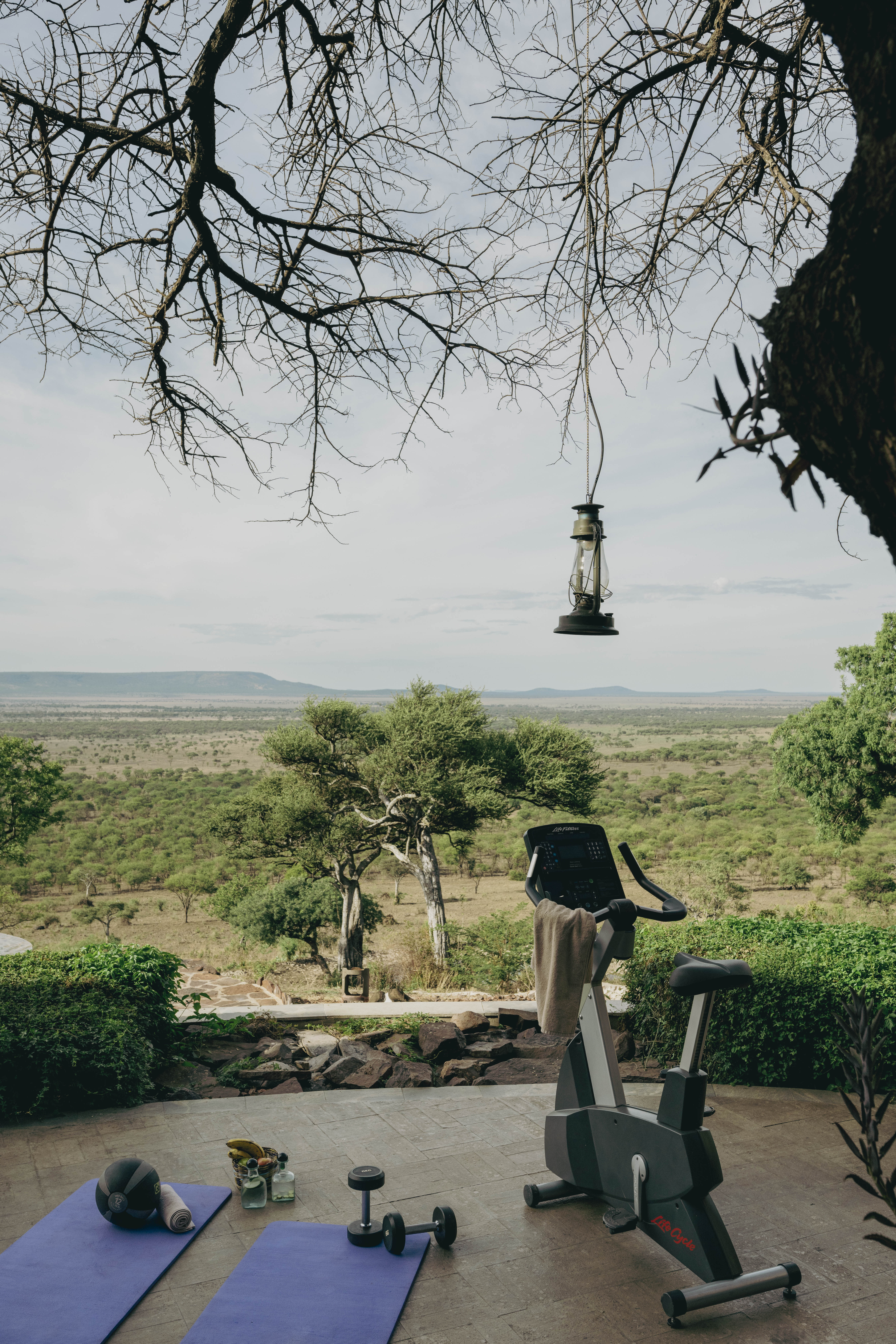 Outdoor fitness equipment on patio overlooking African savanna.