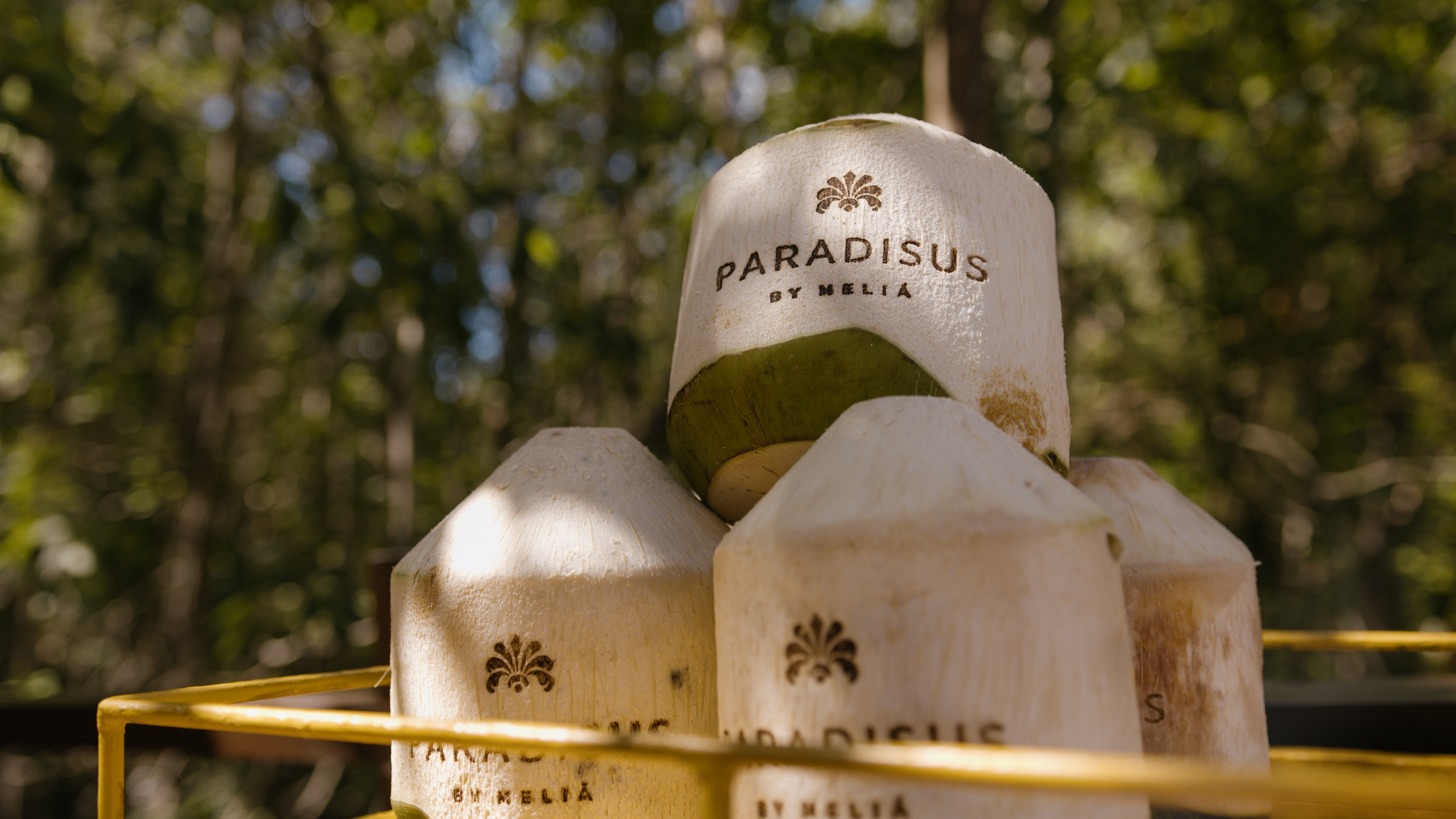 Paradisus La Perla