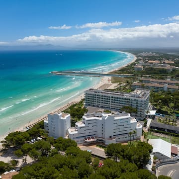 a beach with buildings and trees